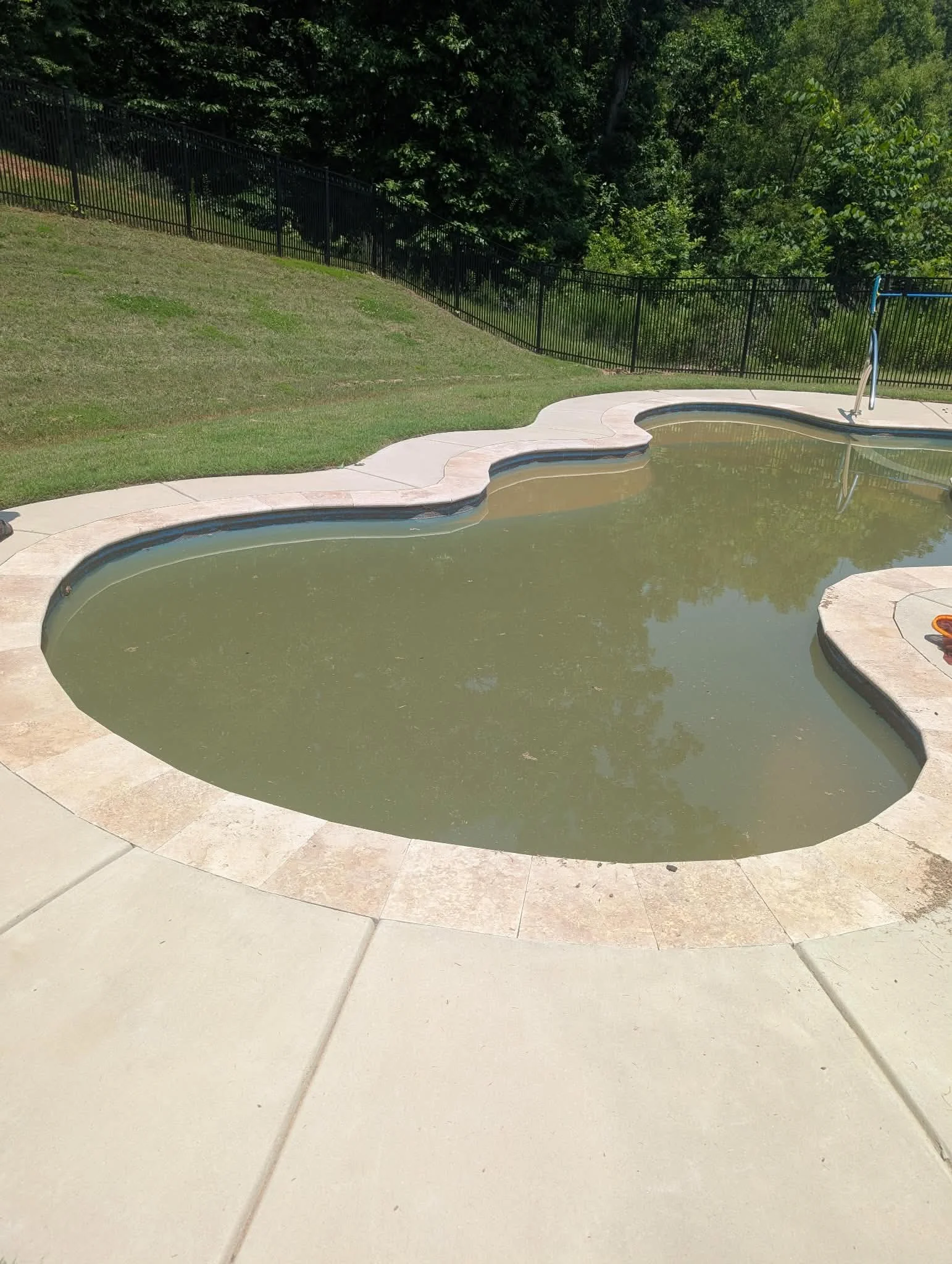 A backyard with a swimming pool, black metal fence, grassy area, and trees in the background.