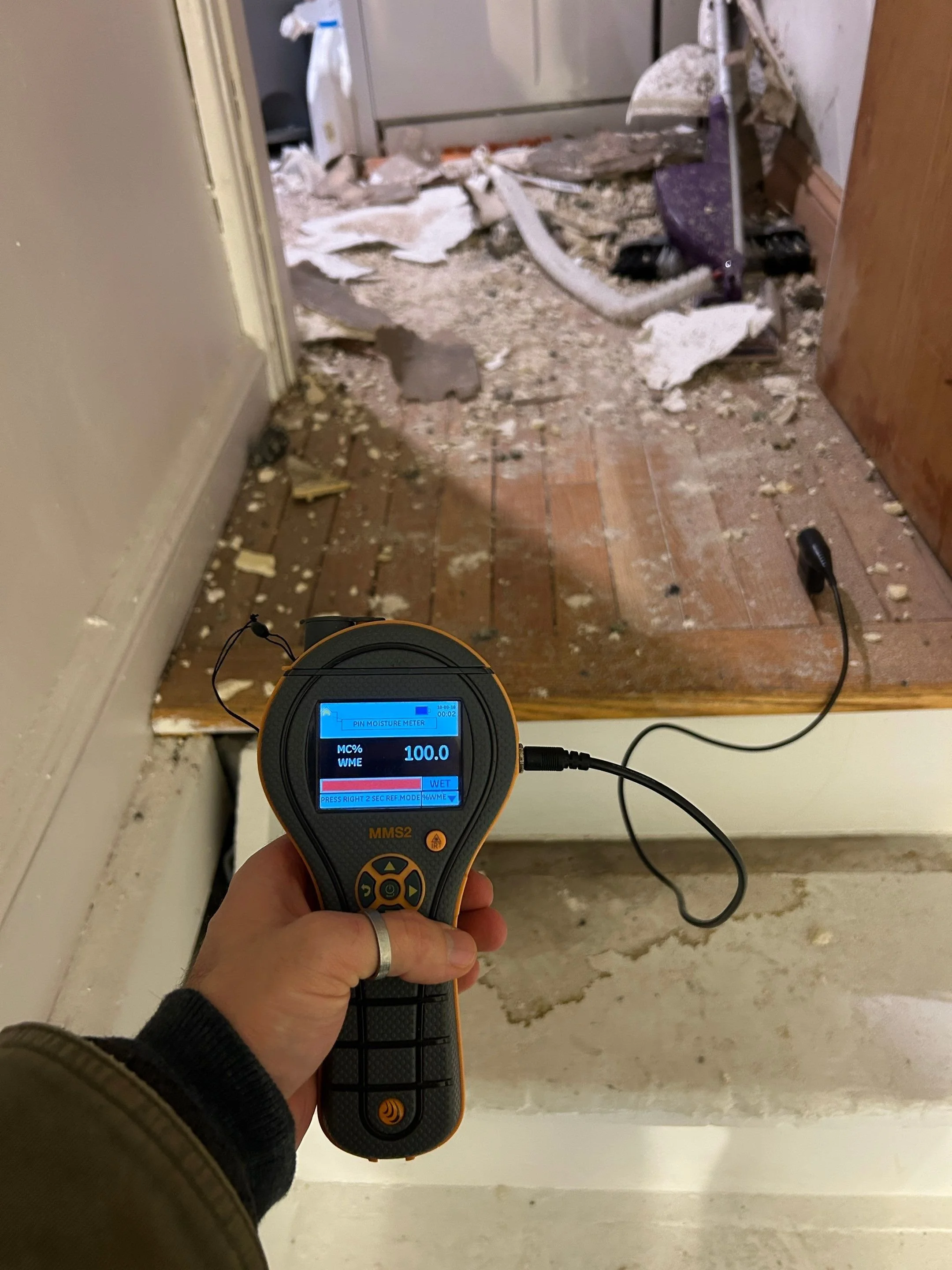 Protimeter MMS2 water reading.jpg