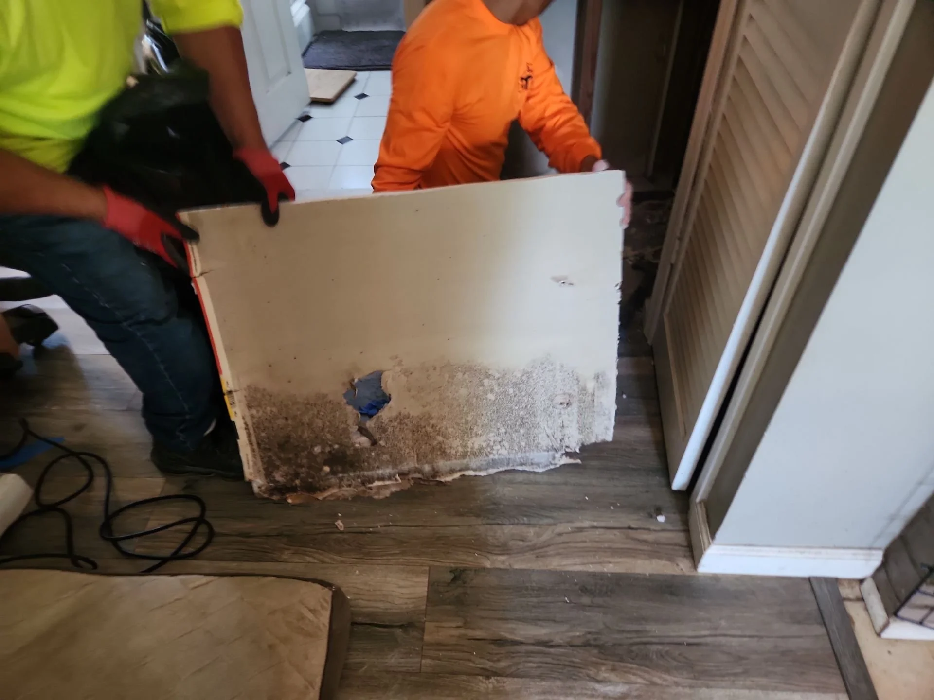 water and mold damage.jpg