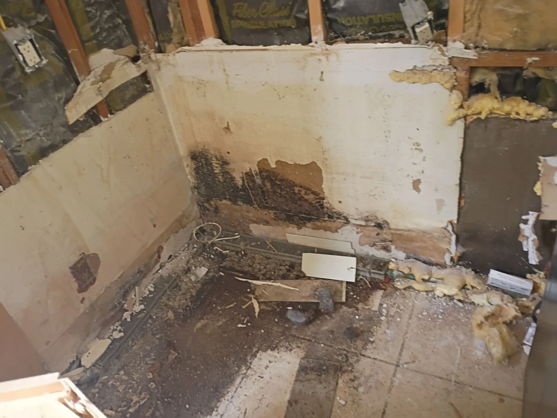 water mold damage.jpg
