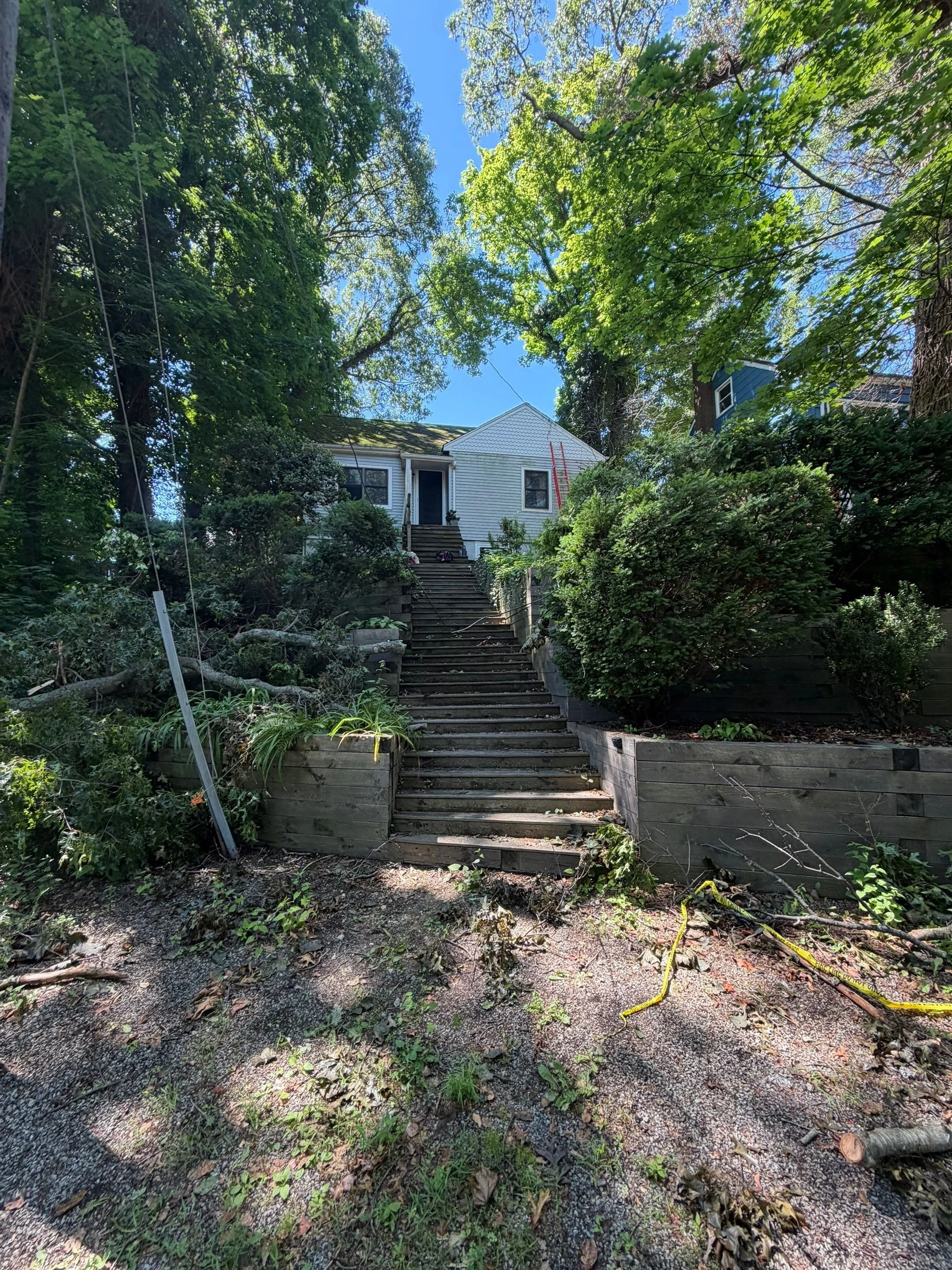 storm damage 2.jpg