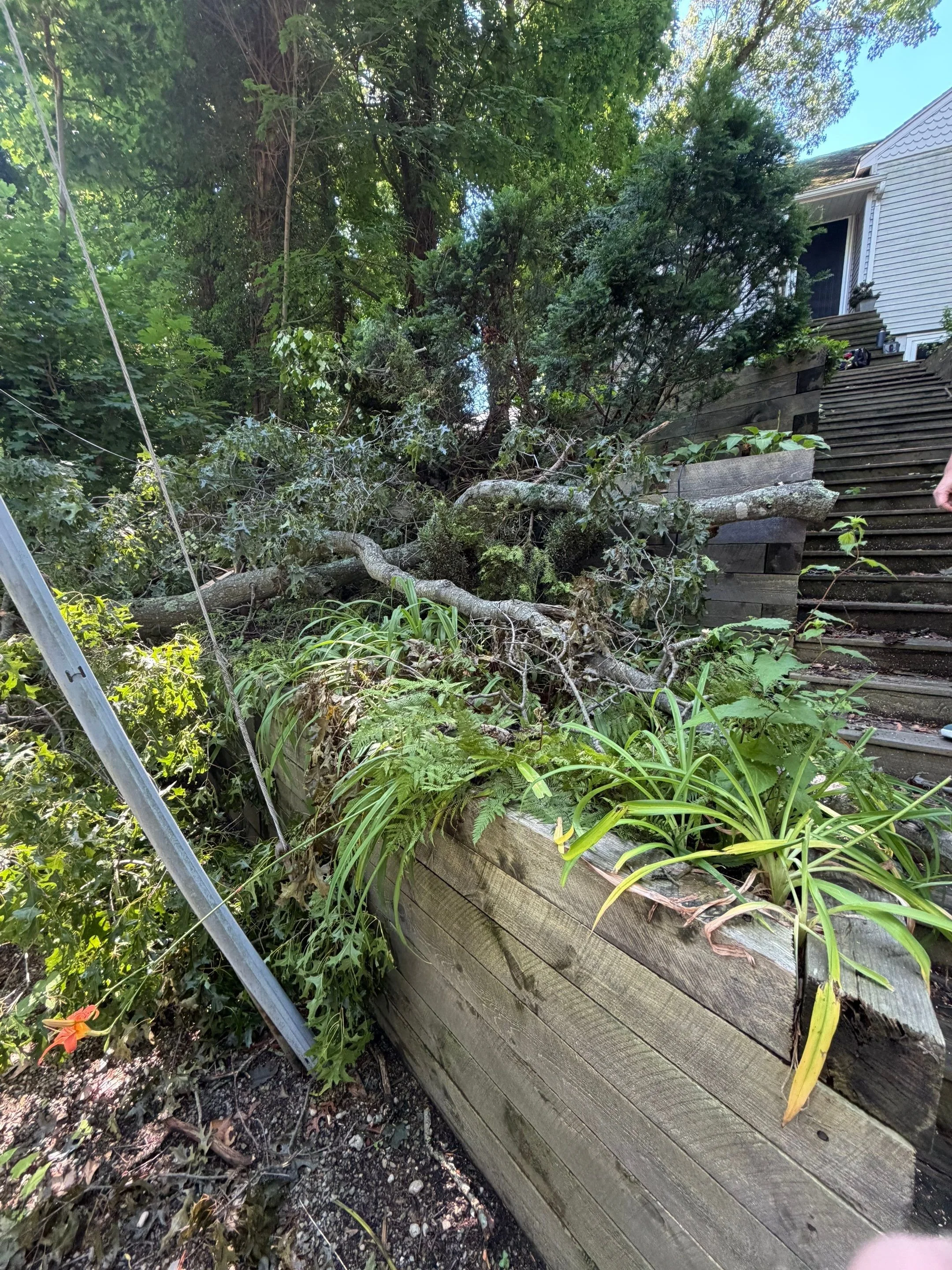 storm damage 3.jpg