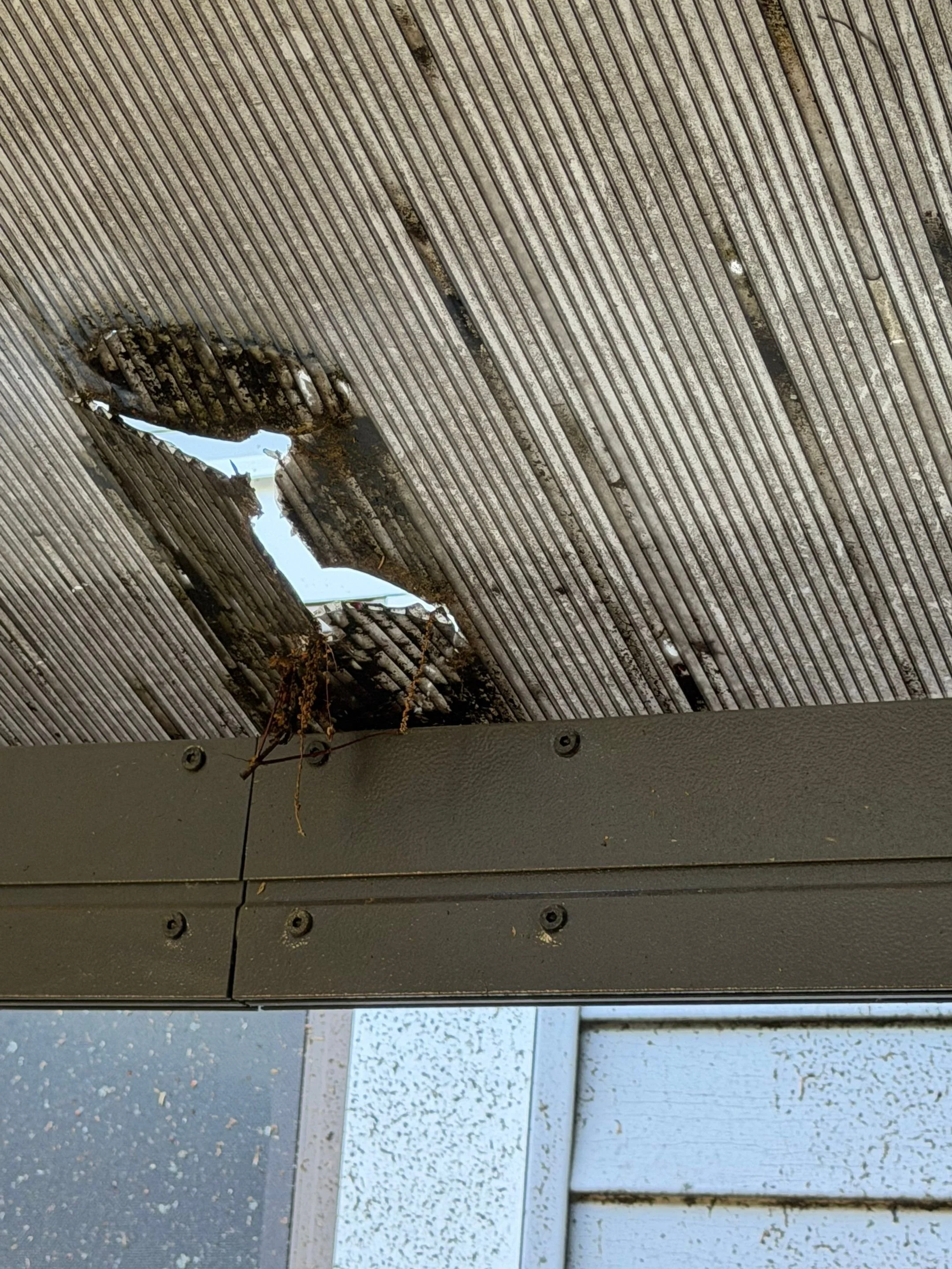 storm damage 4.jpg