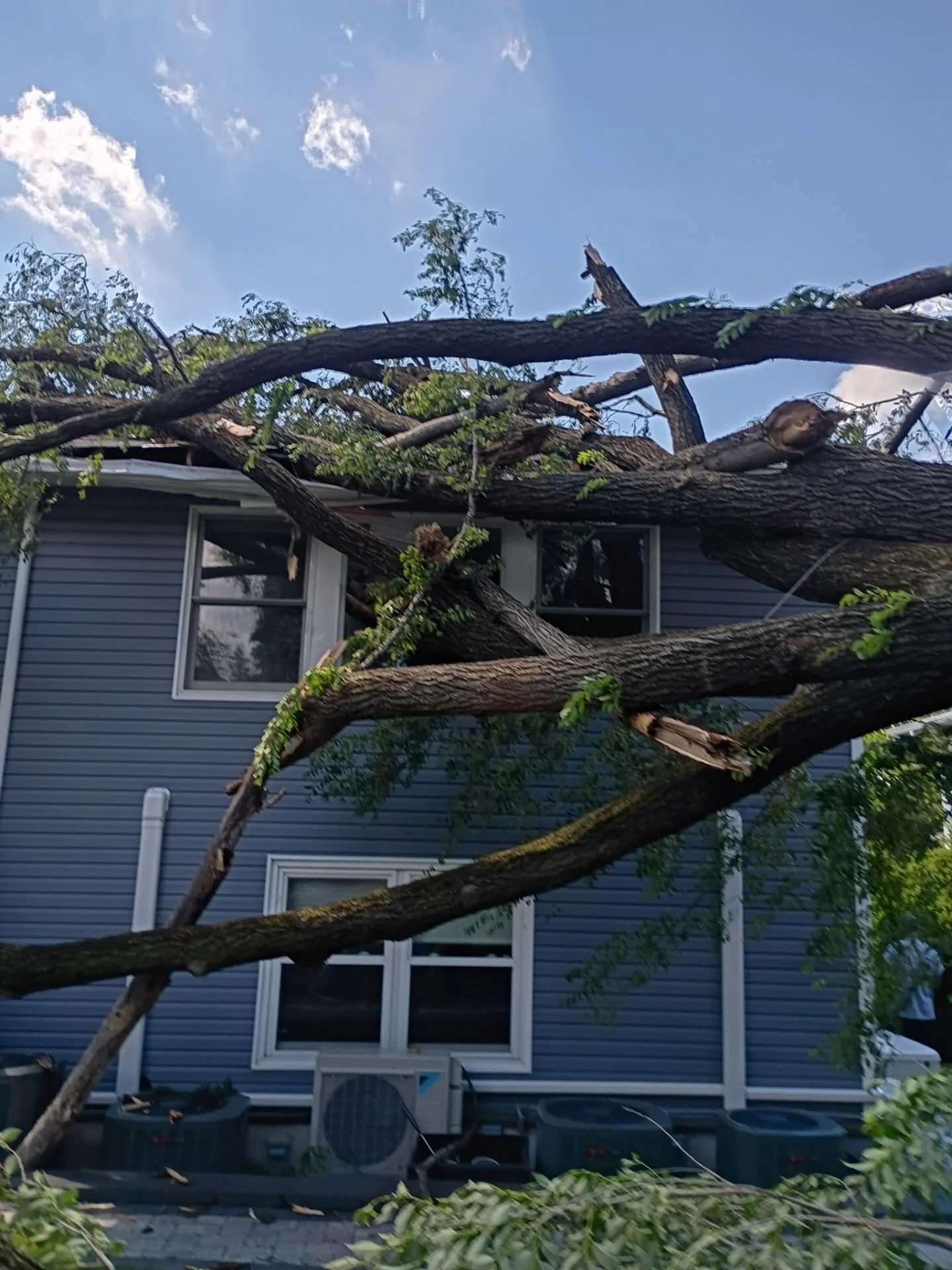storm damage 7.jpg