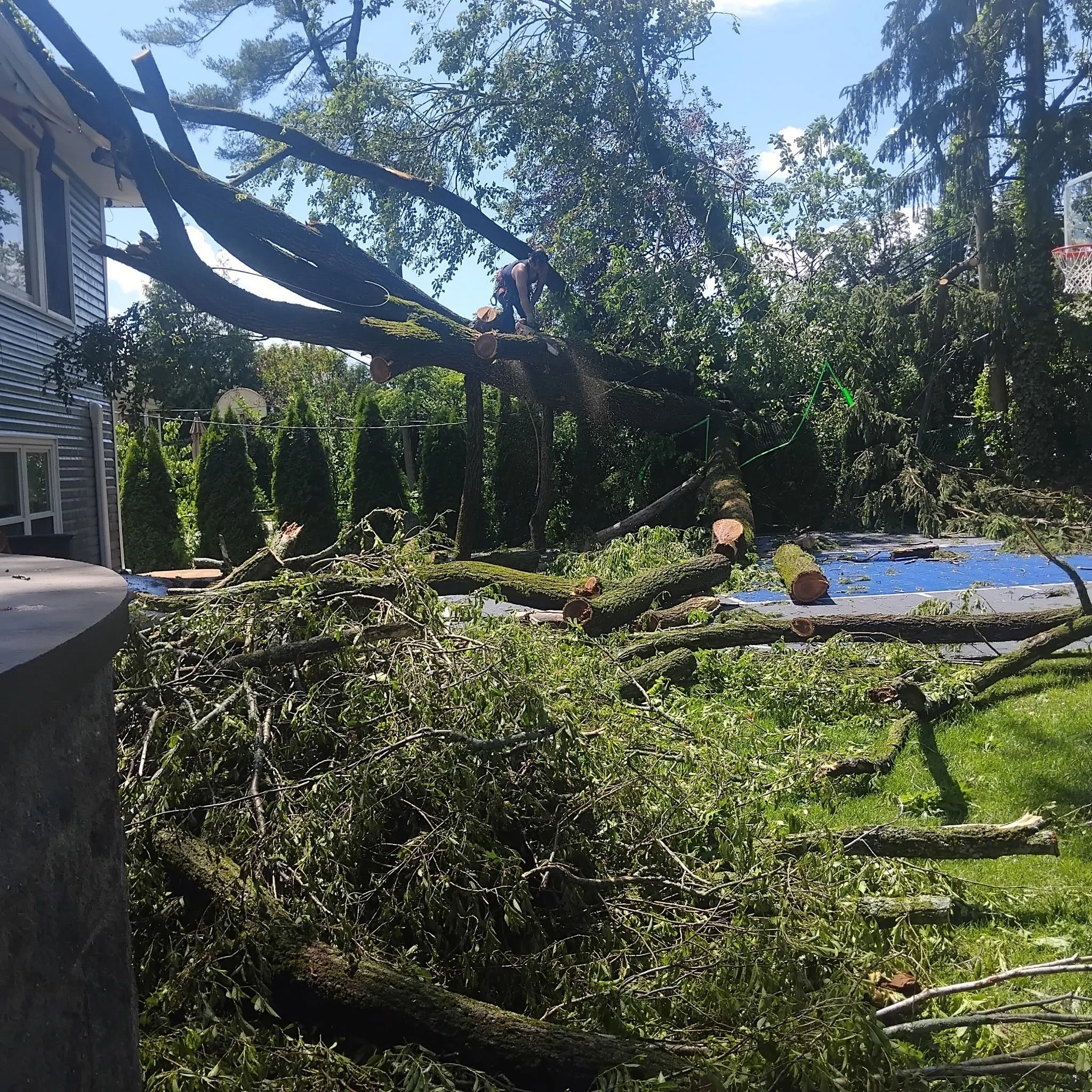 storm damage 6.jpg