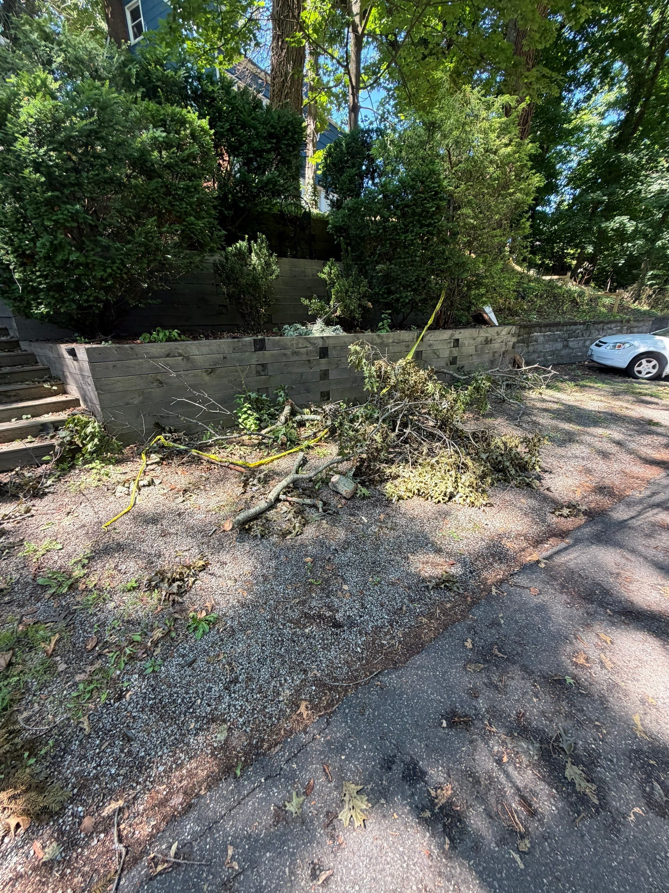 storm damage.jpg