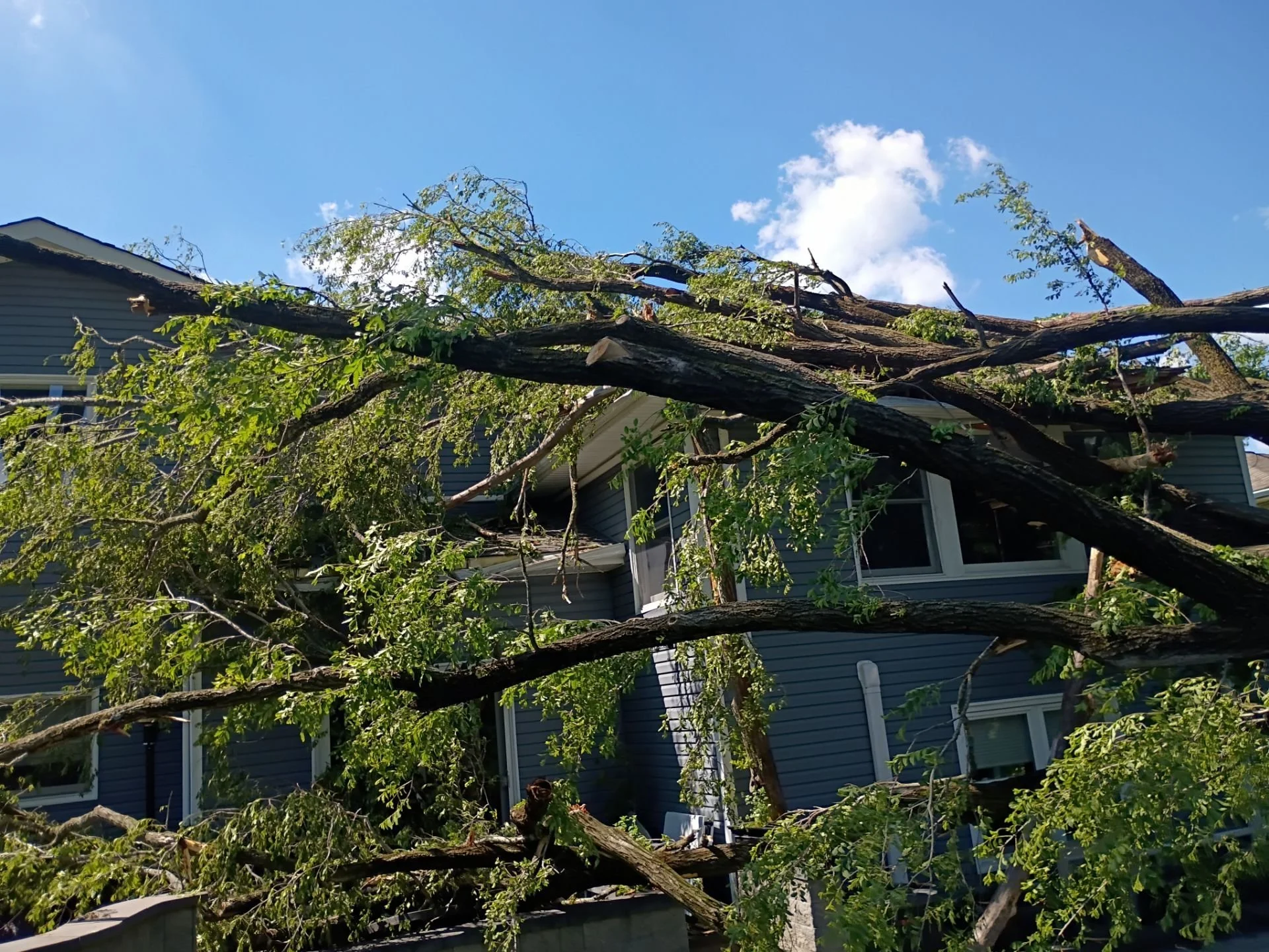 storm damage 8.jpg