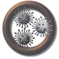 Mold
