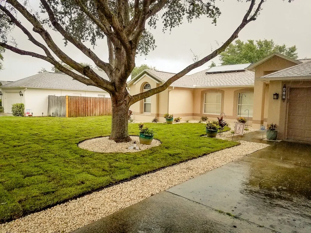 A front yard with a large tree, green grass, and potted plants. A sidewalk and driveway are visible, with some rain on the ground. The house has a light-colored exterior with windows and a garage door.