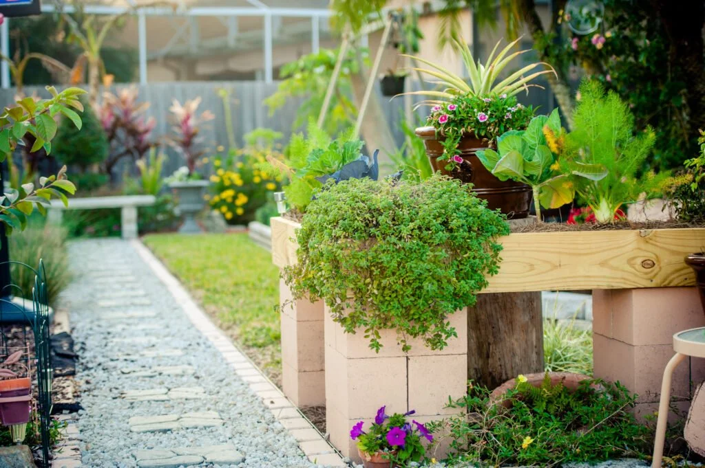 A lush garden with a stone pathway leading to a greenhouse, featuring a raised wooden planter filled with various green plants and flowers, and other garden decorations.