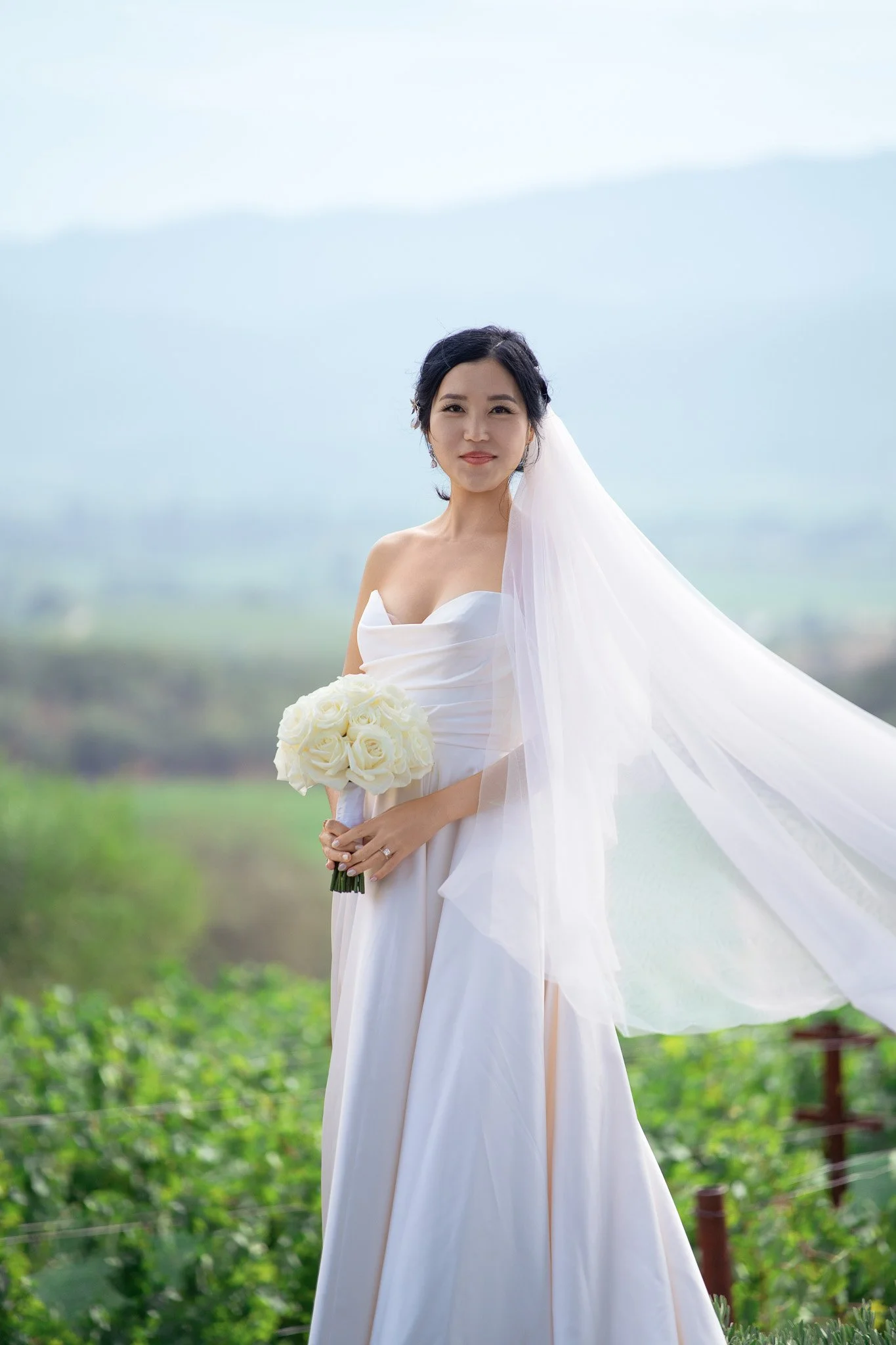 A7401595-2.jpg