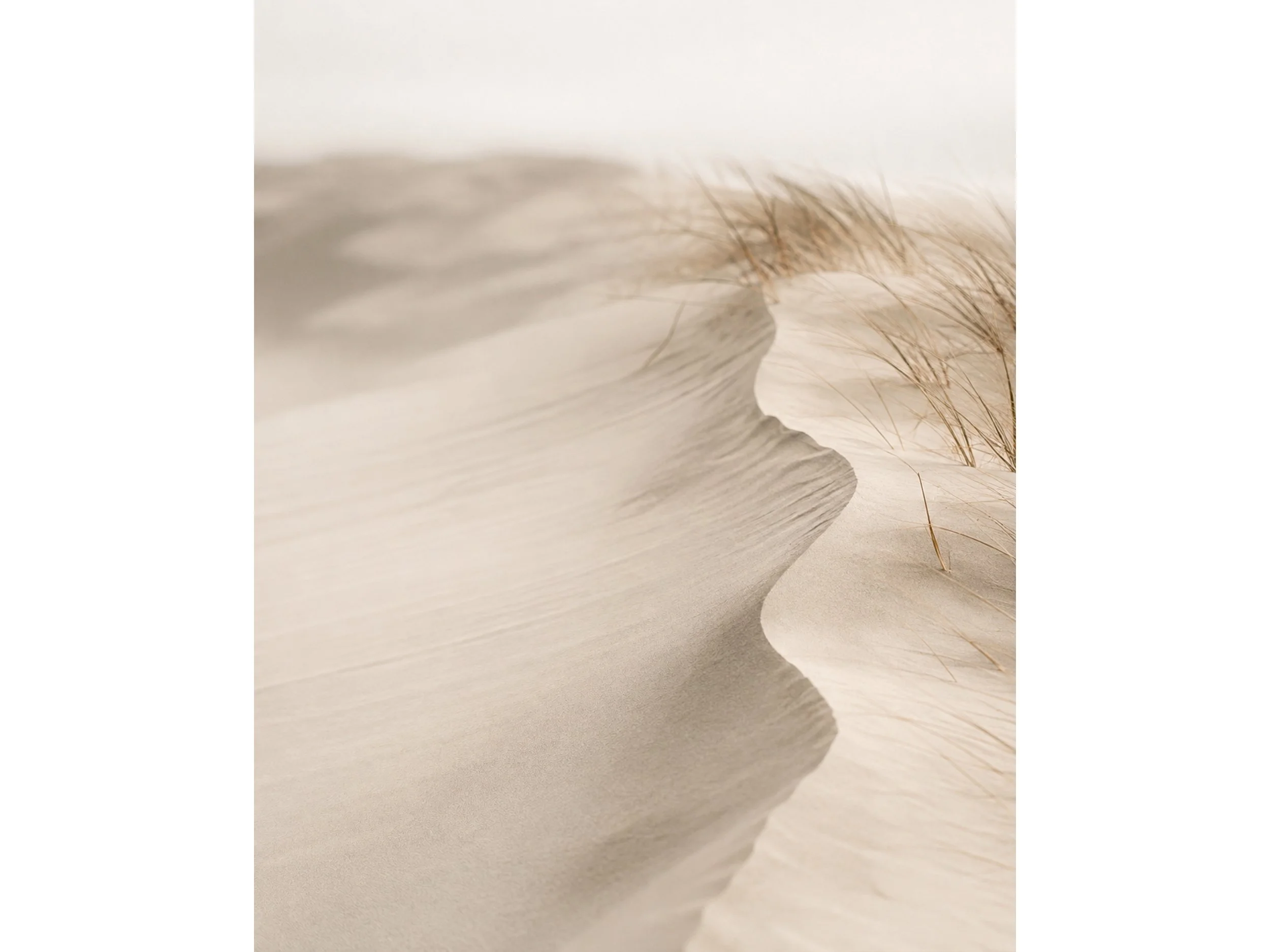 WindCarved_Crop.jpg