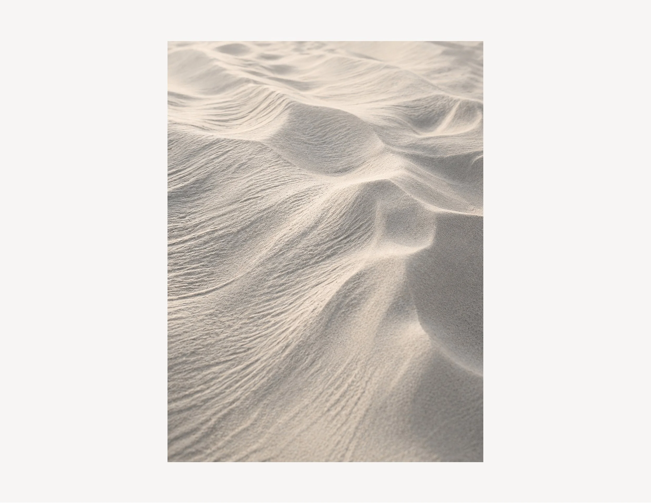 Dune Light No. 2-crop.jpg