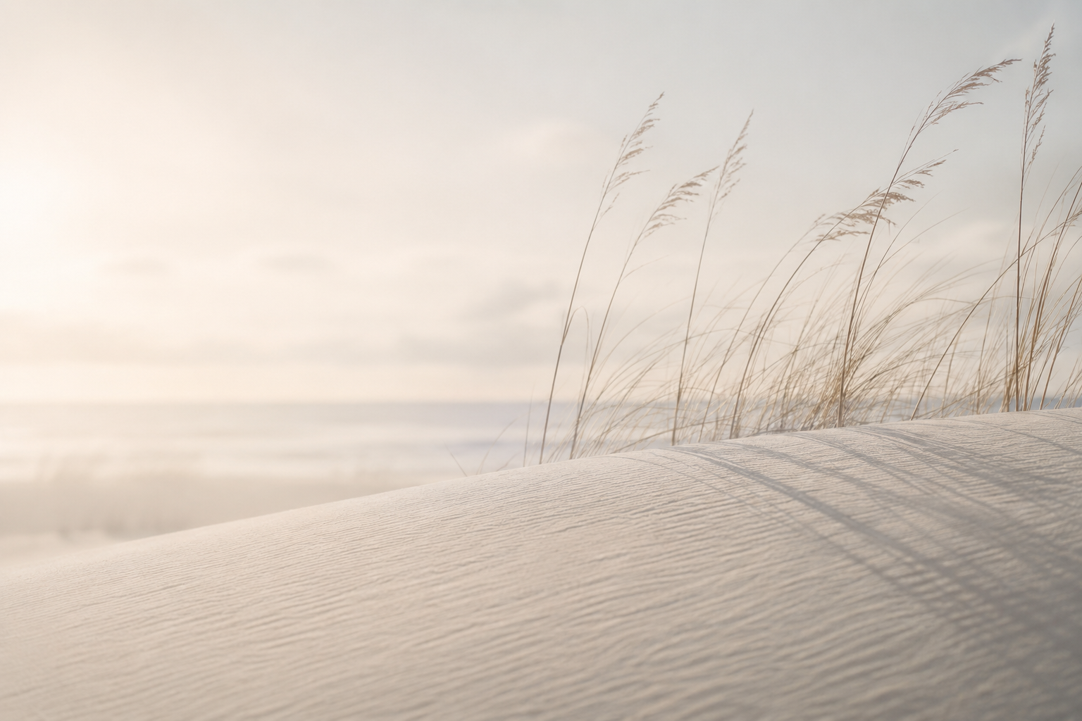 Windline_ DuneLight No. 6.png