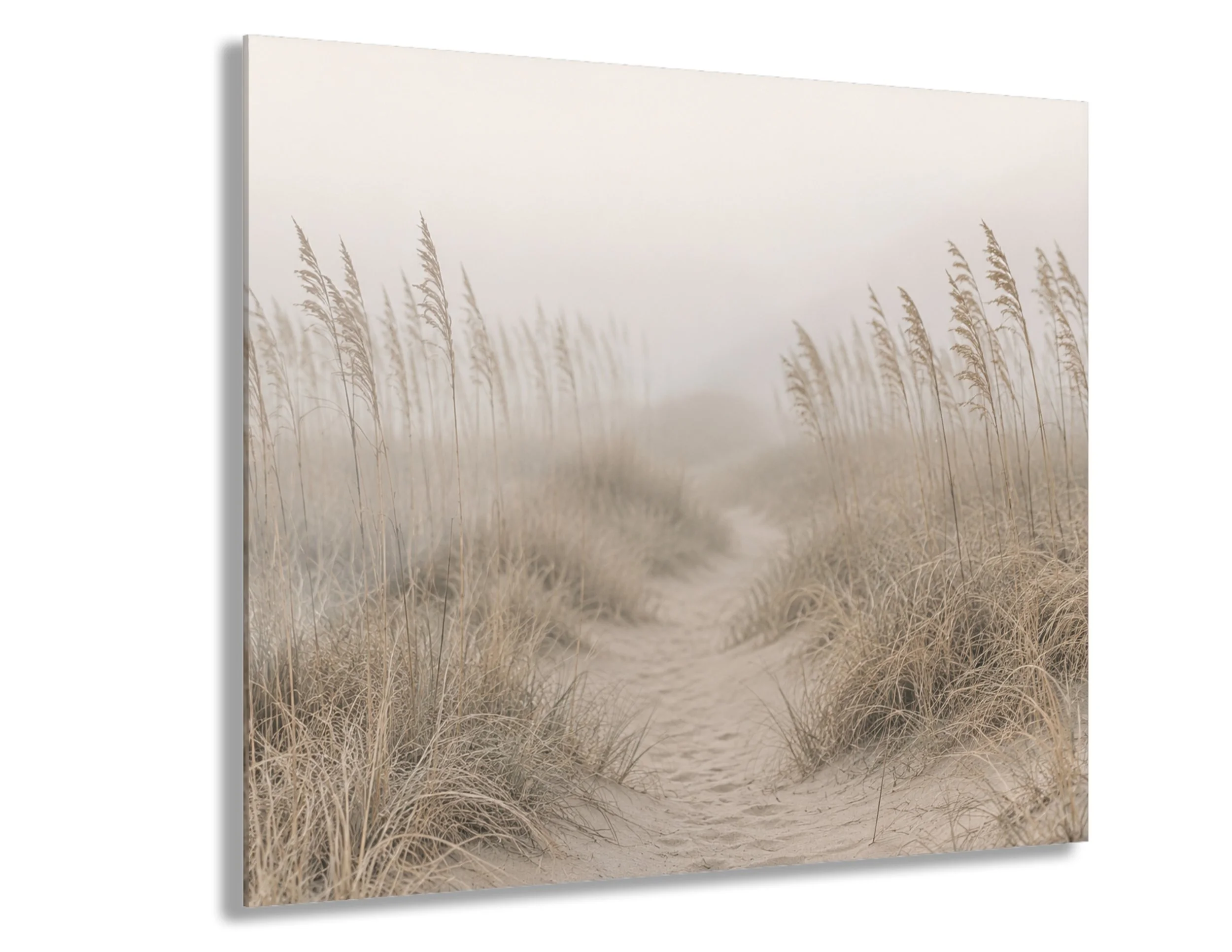 Thru The Dunes _ Dune Light No. 4_Acrylic.jpg