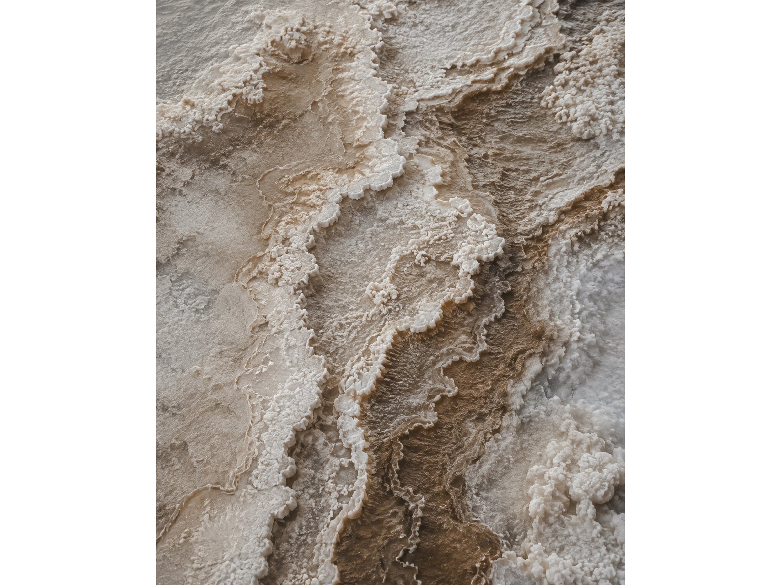 Salt Bloom_Crop.jpg