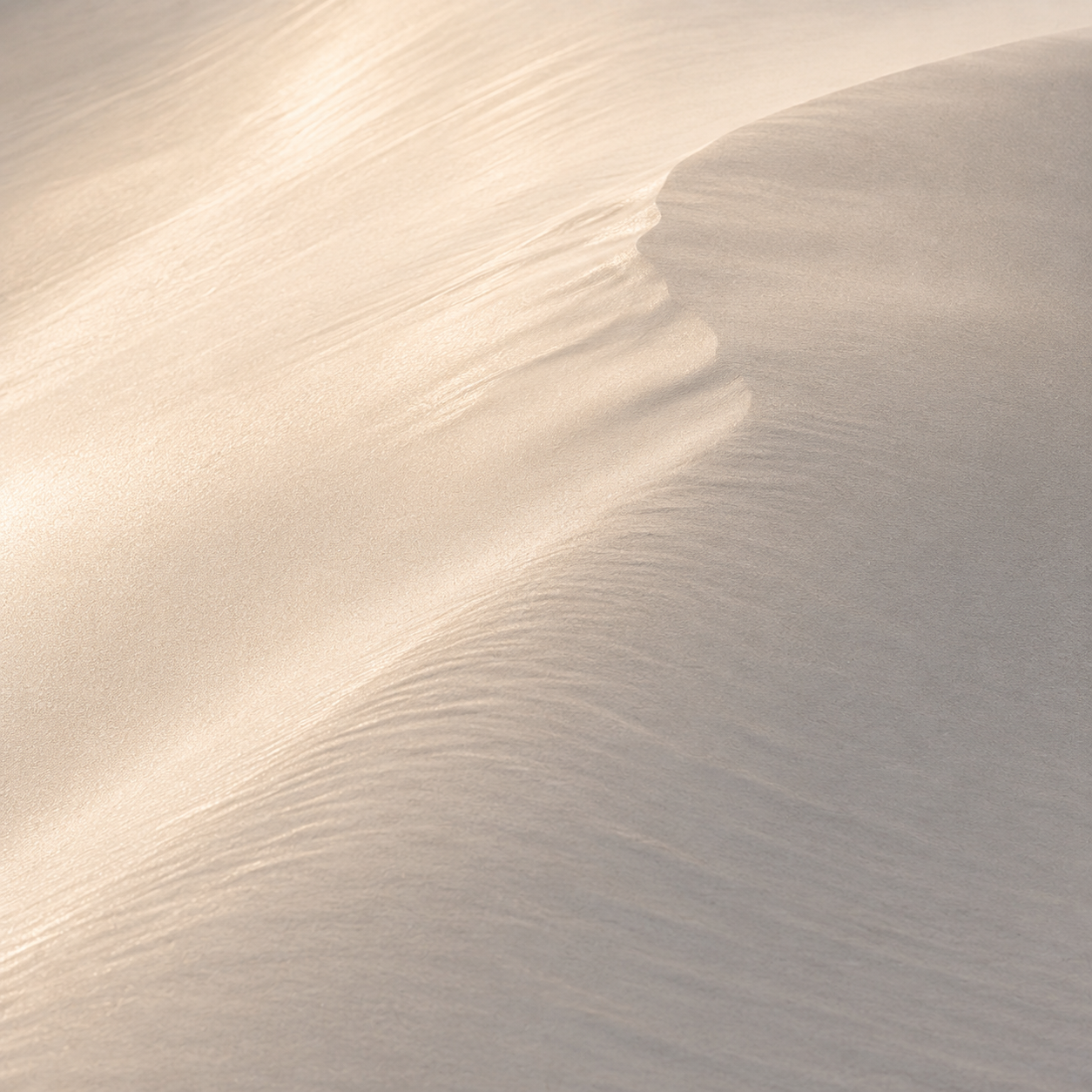 Soft Divide_DuneLight_No. 11.png