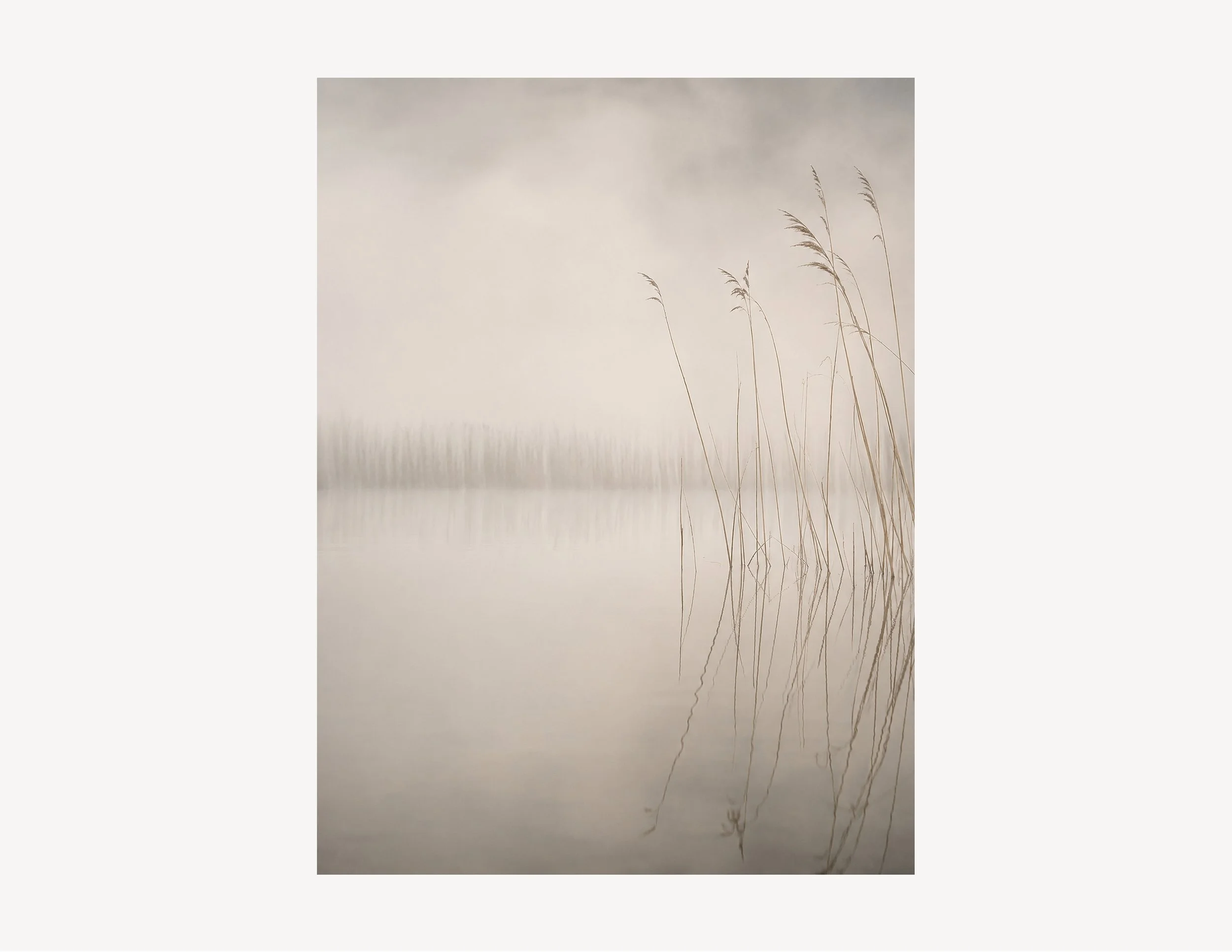 Dune Light No. 3-crop.jpg