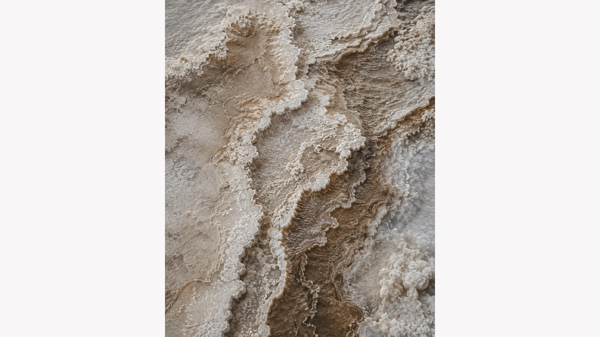 Salt Bloom | Coastal Abstracts No. 07