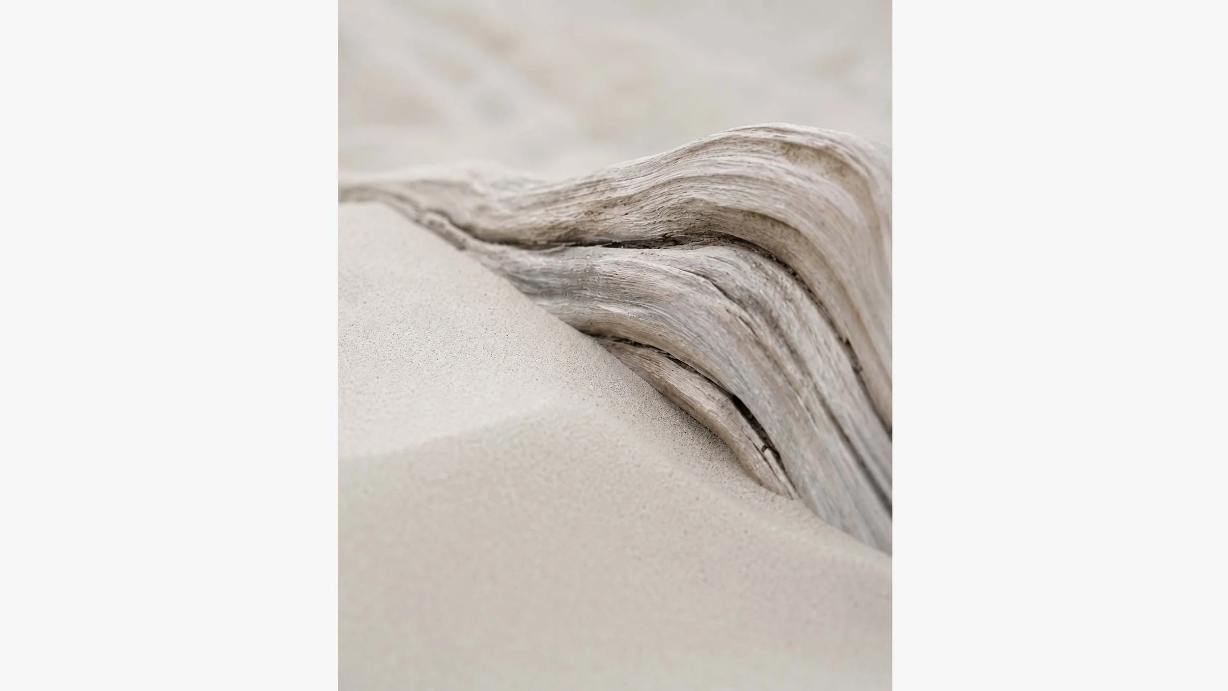 Drift Curve | Dune Light No. 4