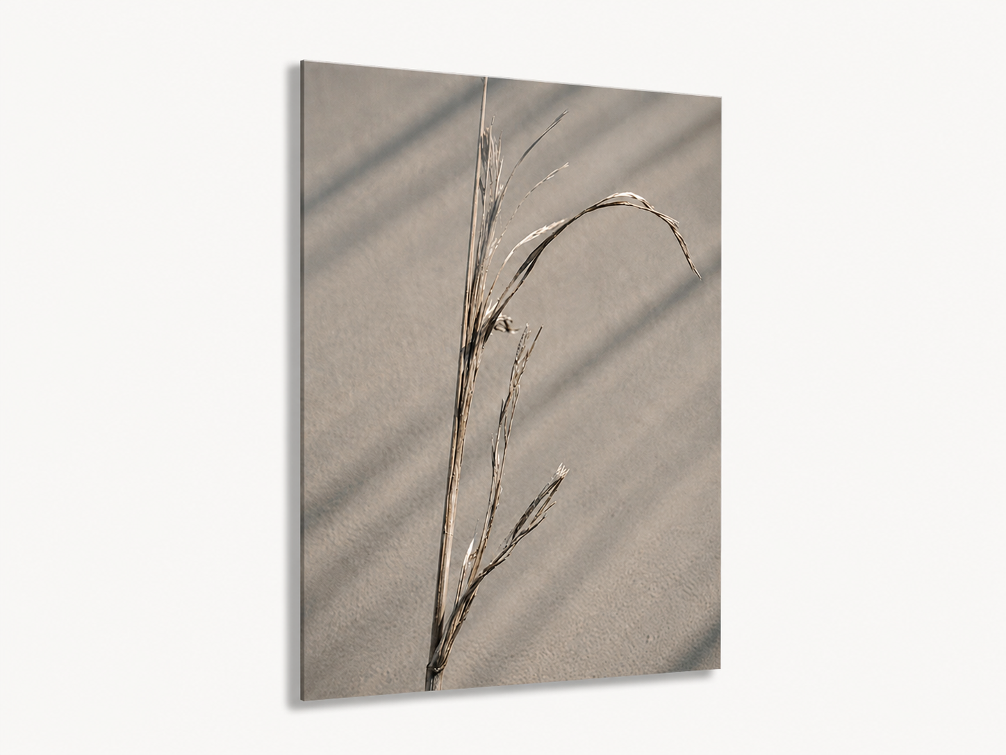 Driftline 2 - Acrylic Front.png