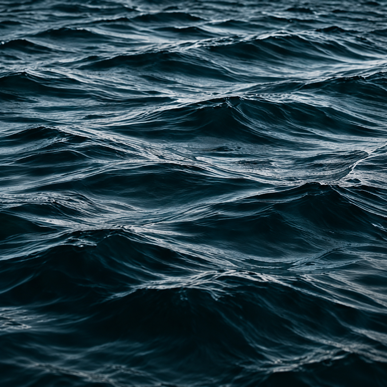 Night Current