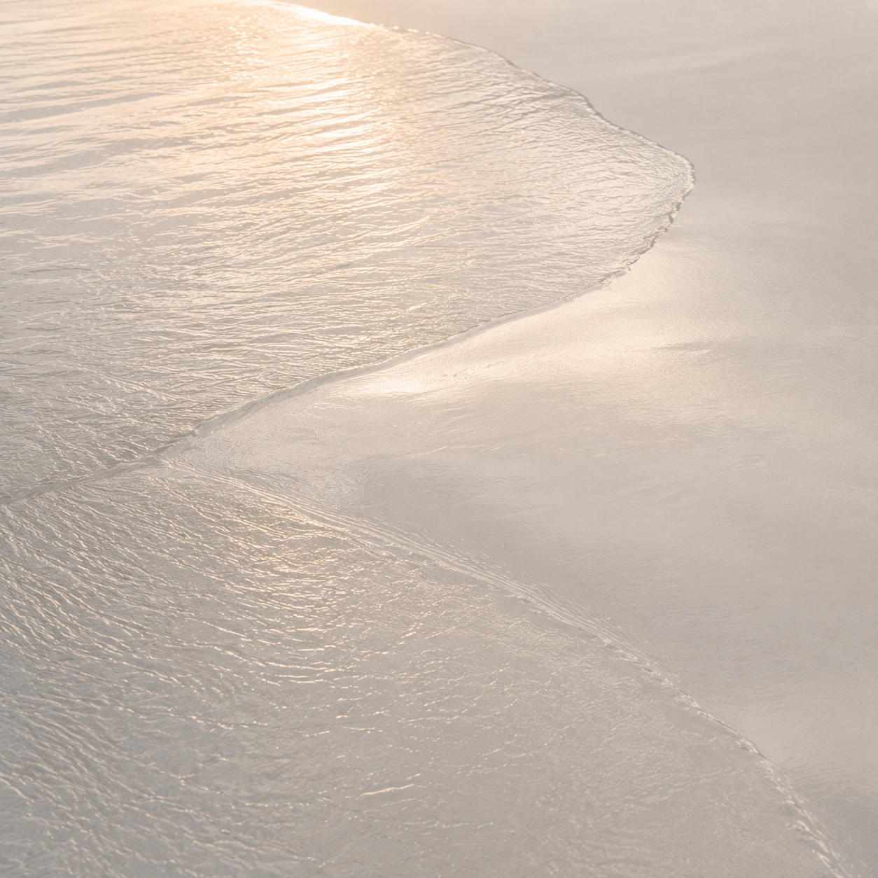 First Light_DuneLight_No. 9.png