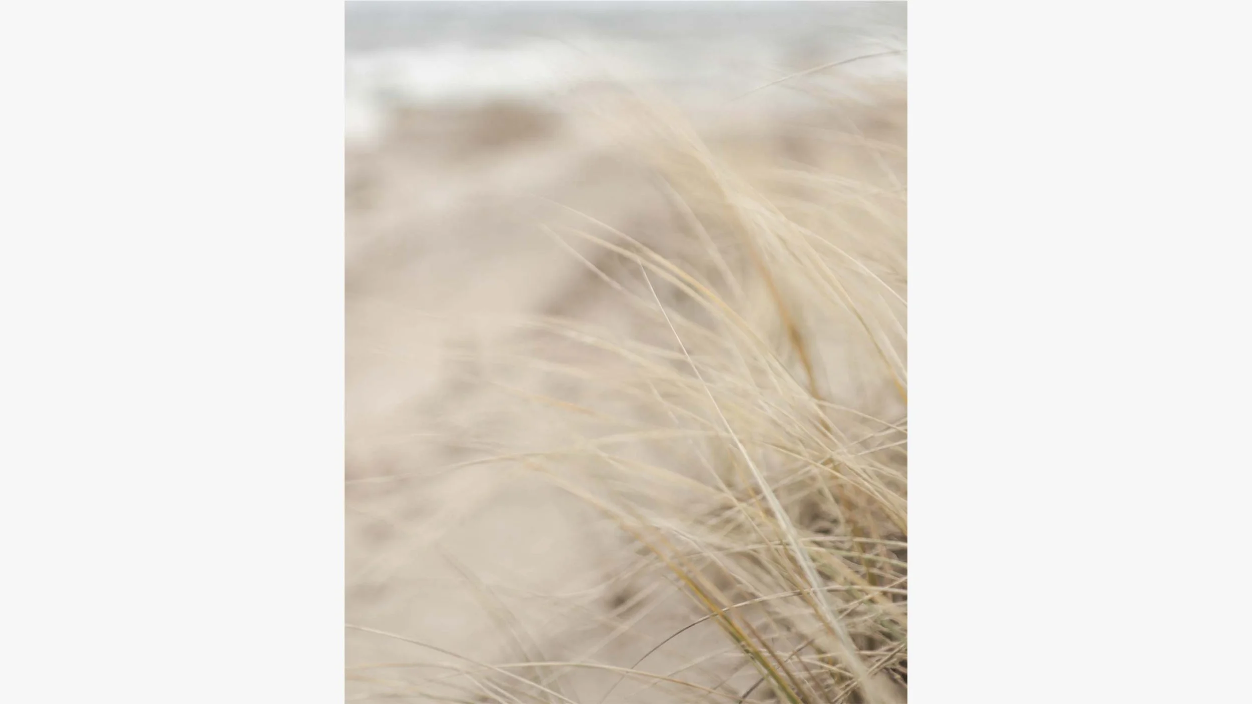 WindBlown | Coastal Abstracts No. 04