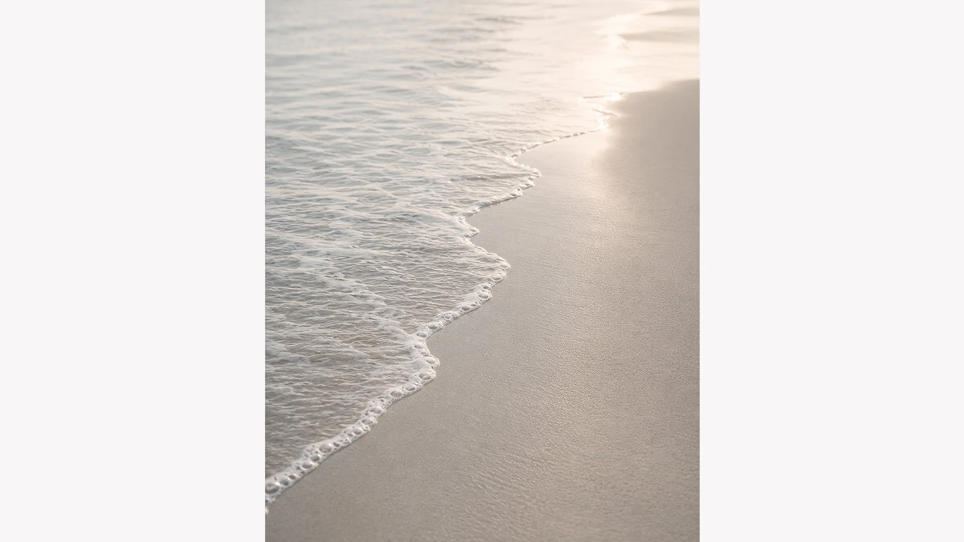 Sunlit Shore | Dune Light No. 1