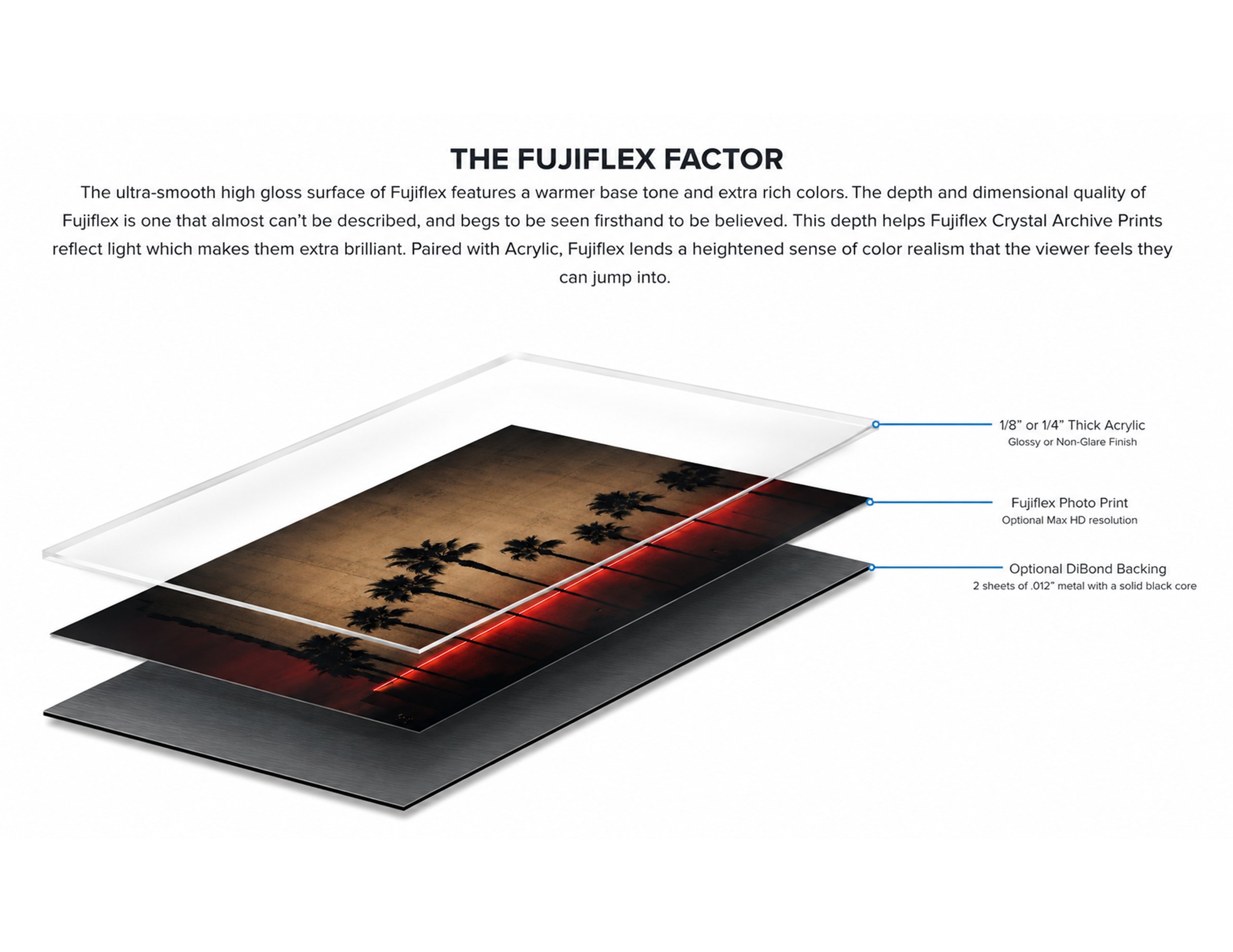 The Fujiflex product breakdown.jpg