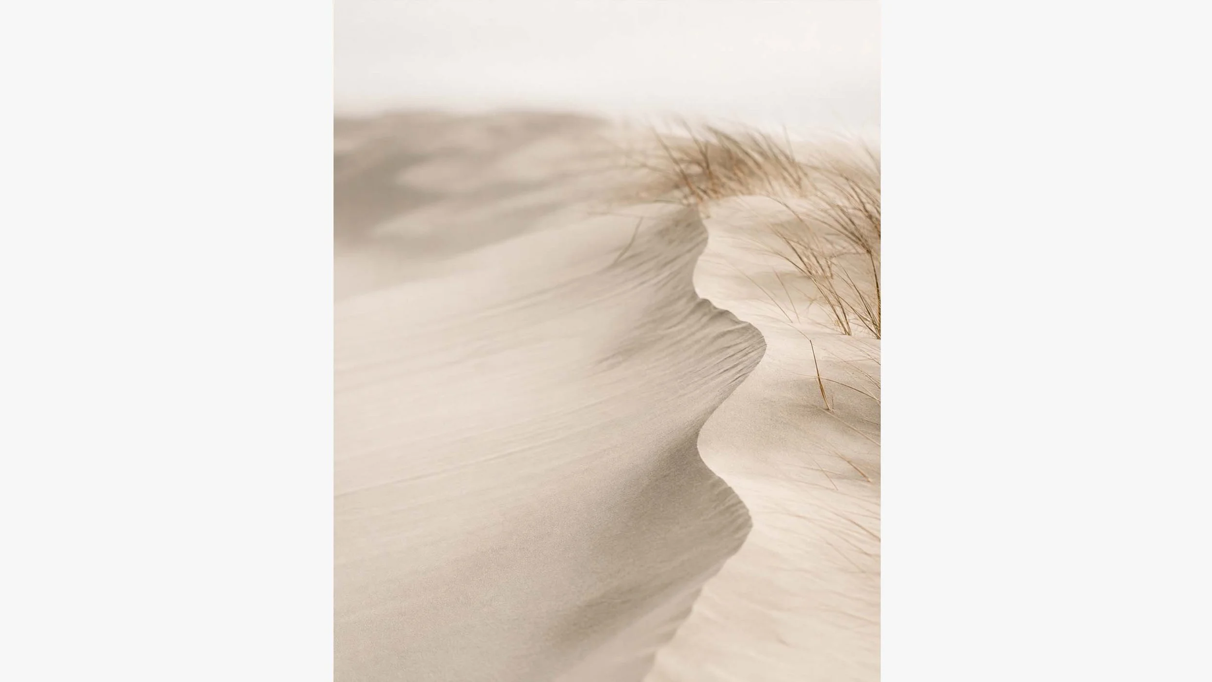 Wind Carved | Coastal Abstracts No. 05