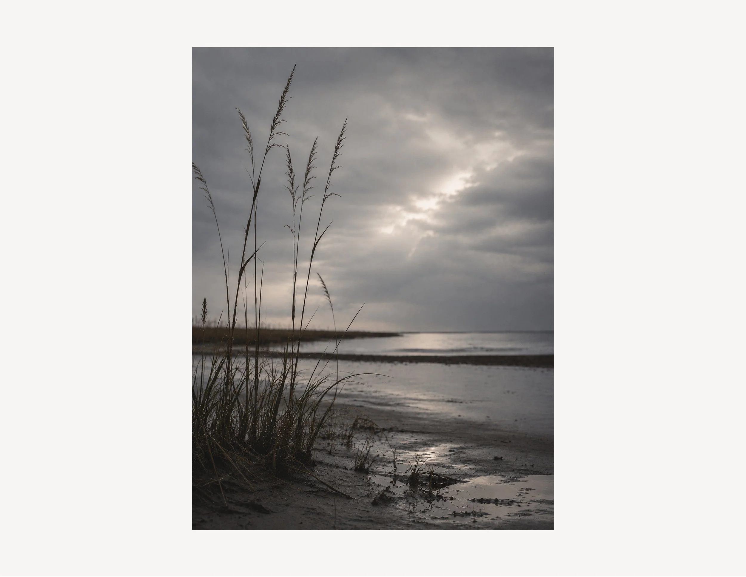 Storm_Tide-004-crop.jpg