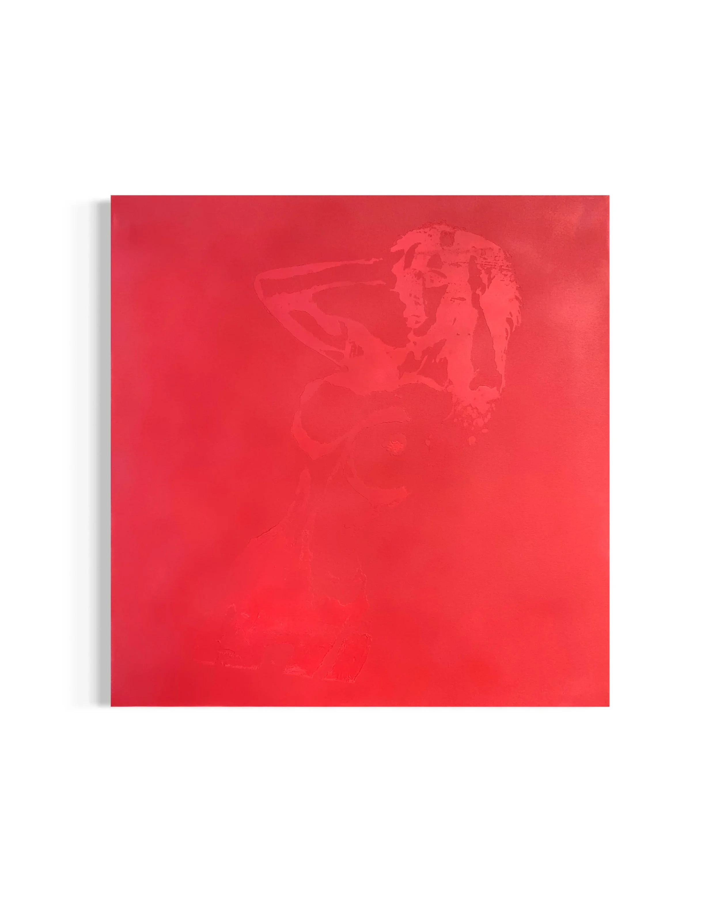 Red Woman

Medium: Acrylic, Screen Print Ink, and Spray Paint on Cotton Canvas

(US) Dimensions: 36 in. X 36 in. X 1.5 in.

A series of 3 but only 2 will be displayed. A combination of subtly and explicitly much like that of lingerie and boudoir.

#a