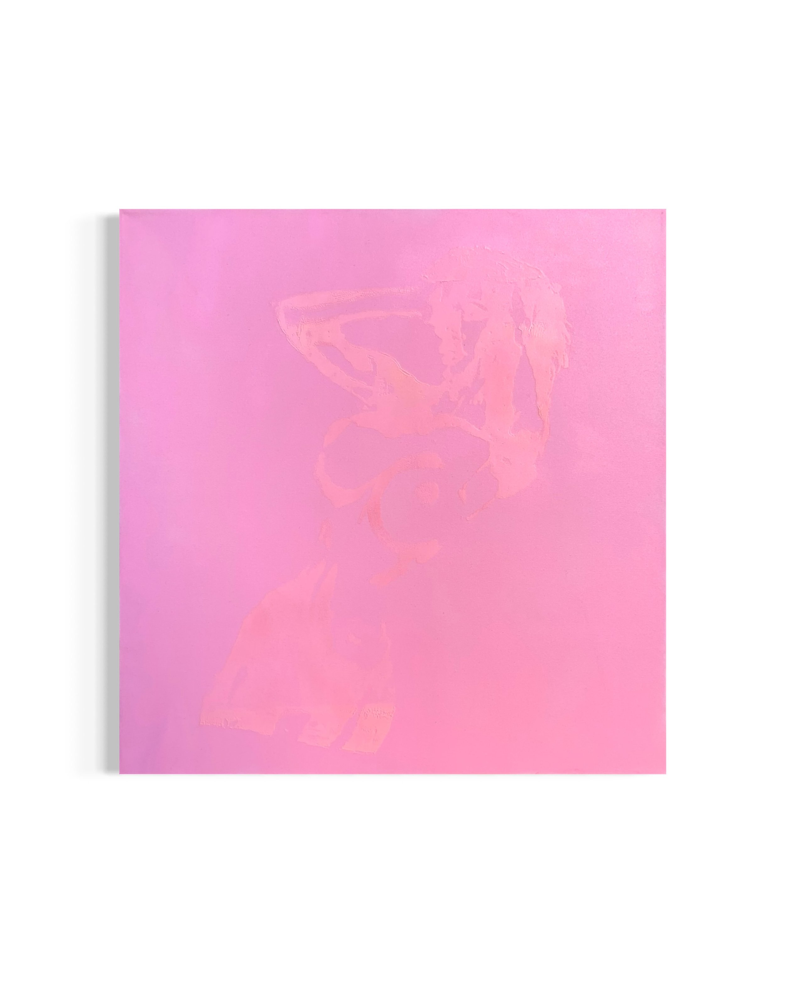 Pink Woman

Medium: Acrylic, Screen Print Ink, and Spray Paint on Cotton Canvas

(US) Dimensions: 36 in. X 36 in. X 1.5 in.

A series of 3 but only 2 will be displayed. A combination of subtly and explicitly much like that of lingerie and boudoir.

#