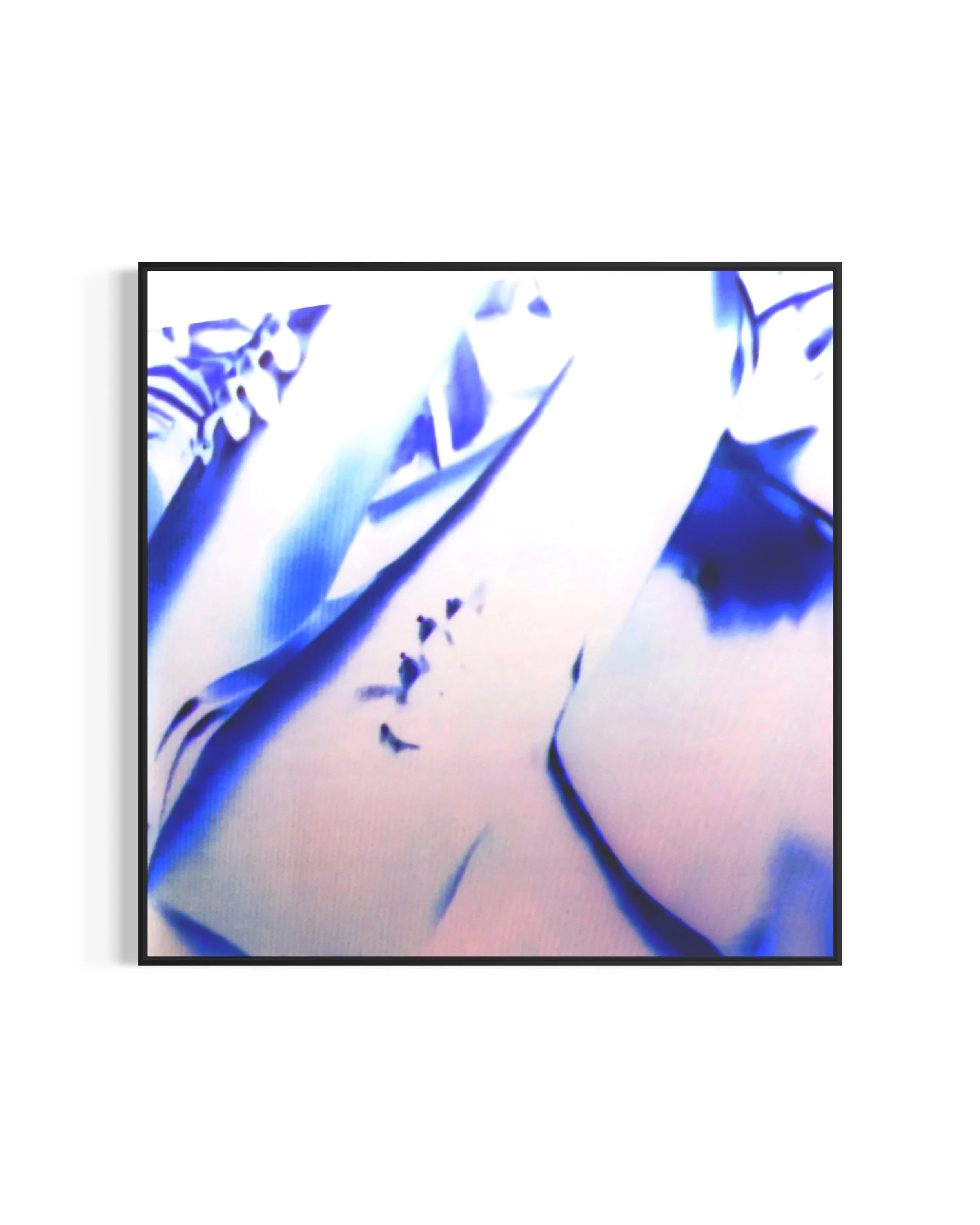 Censored IIII

Dimensions: 32 in. X 32 in. X 1.5 in.

Medium: Giclee Photo Print on Canvas with White Floating Frame

#printmaking #prints #art #portland