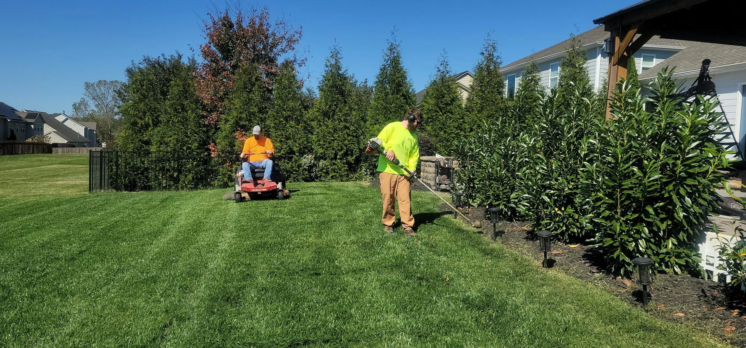 Two men working in a backyard: one mowing the lawn on a riding mower and the other trimming bushes with a weed trimmer, with a house and trees in the background.