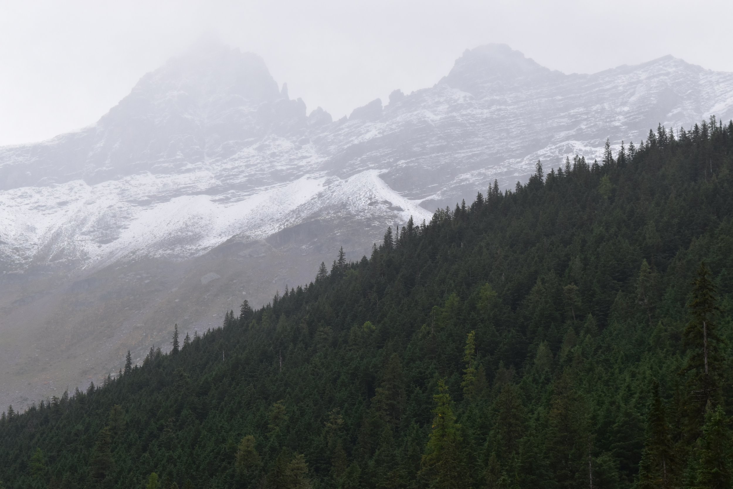 DSC_0059.jpeg