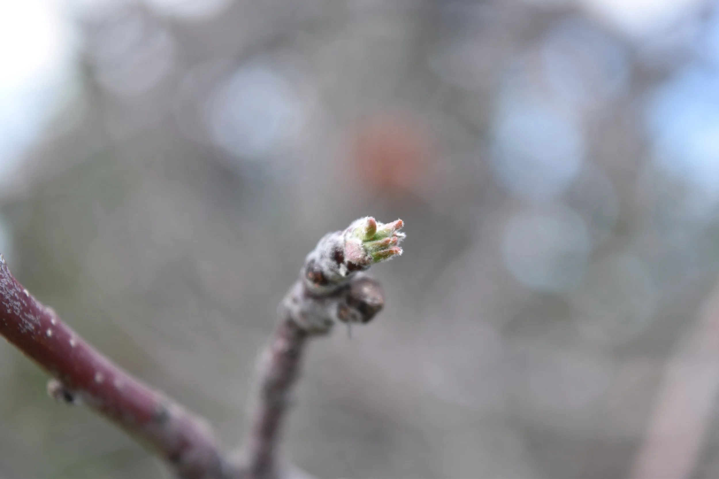 DSC_0023.jpeg
