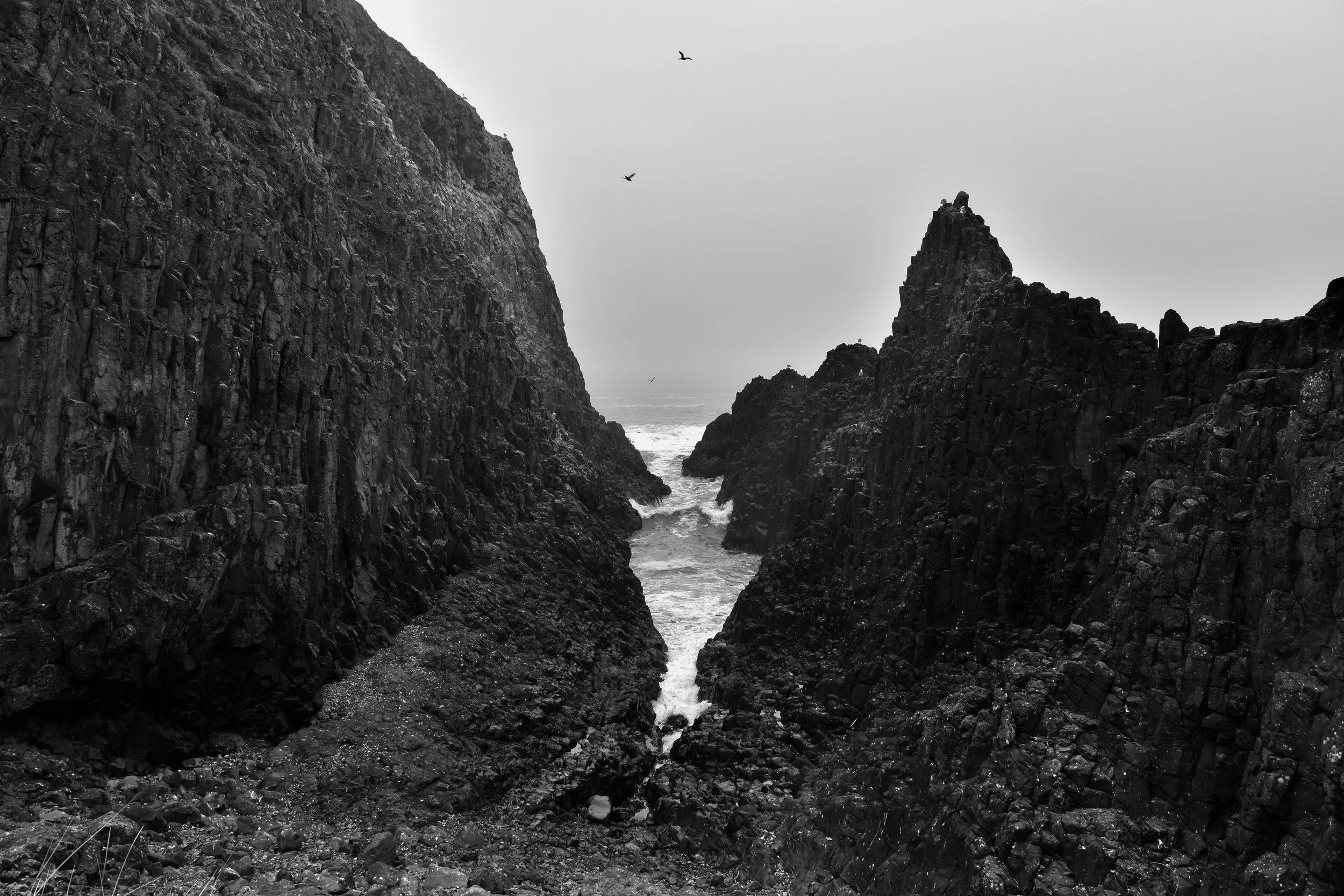 DSC_0238.jpeg