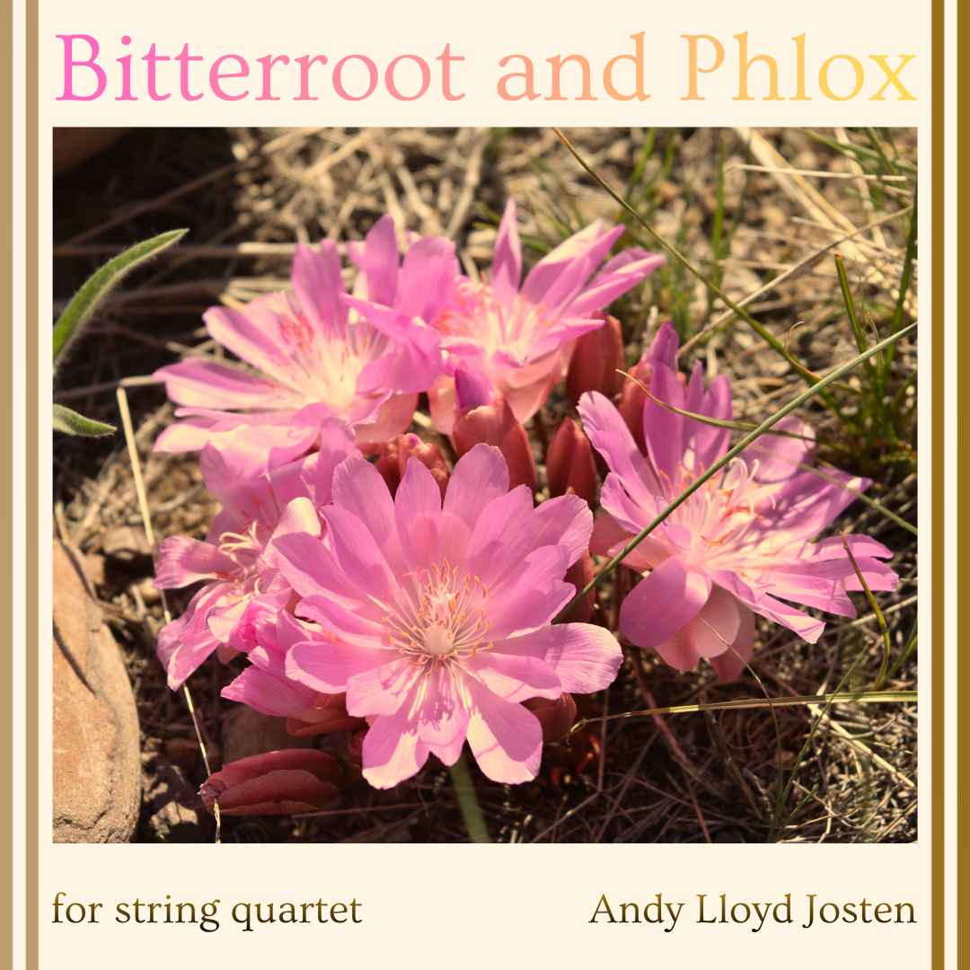 Bitterroot and Phlox