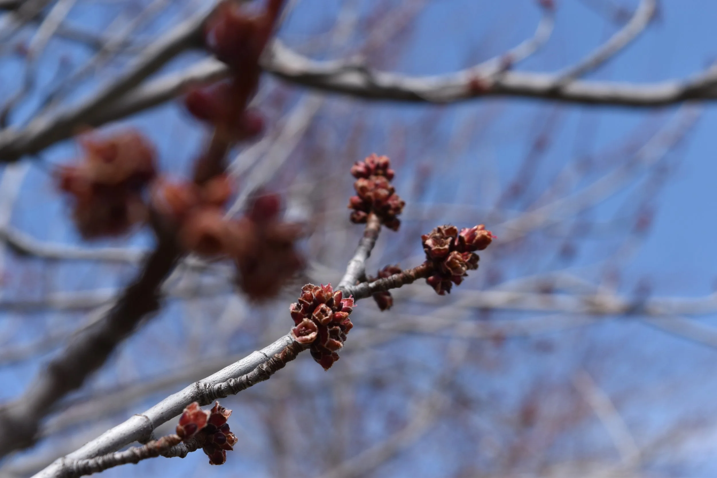 DSC_0047.jpeg