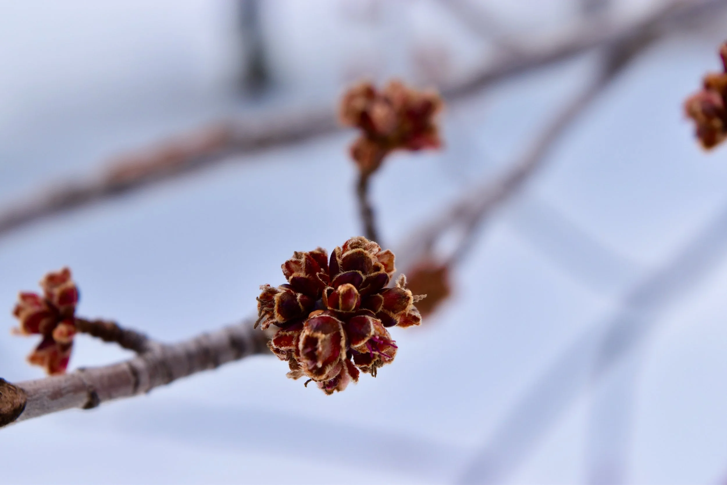 DSC_0164.jpeg