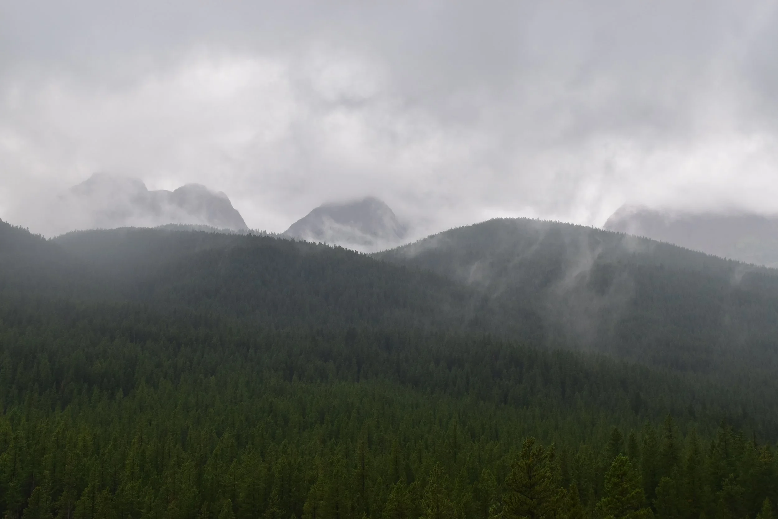 DSC_0180.jpeg