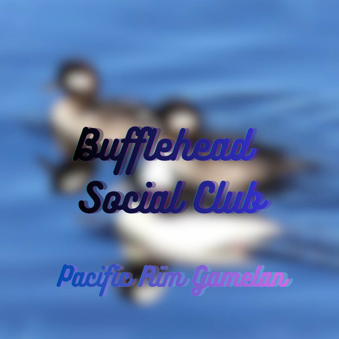 The Bufflehead Social Club