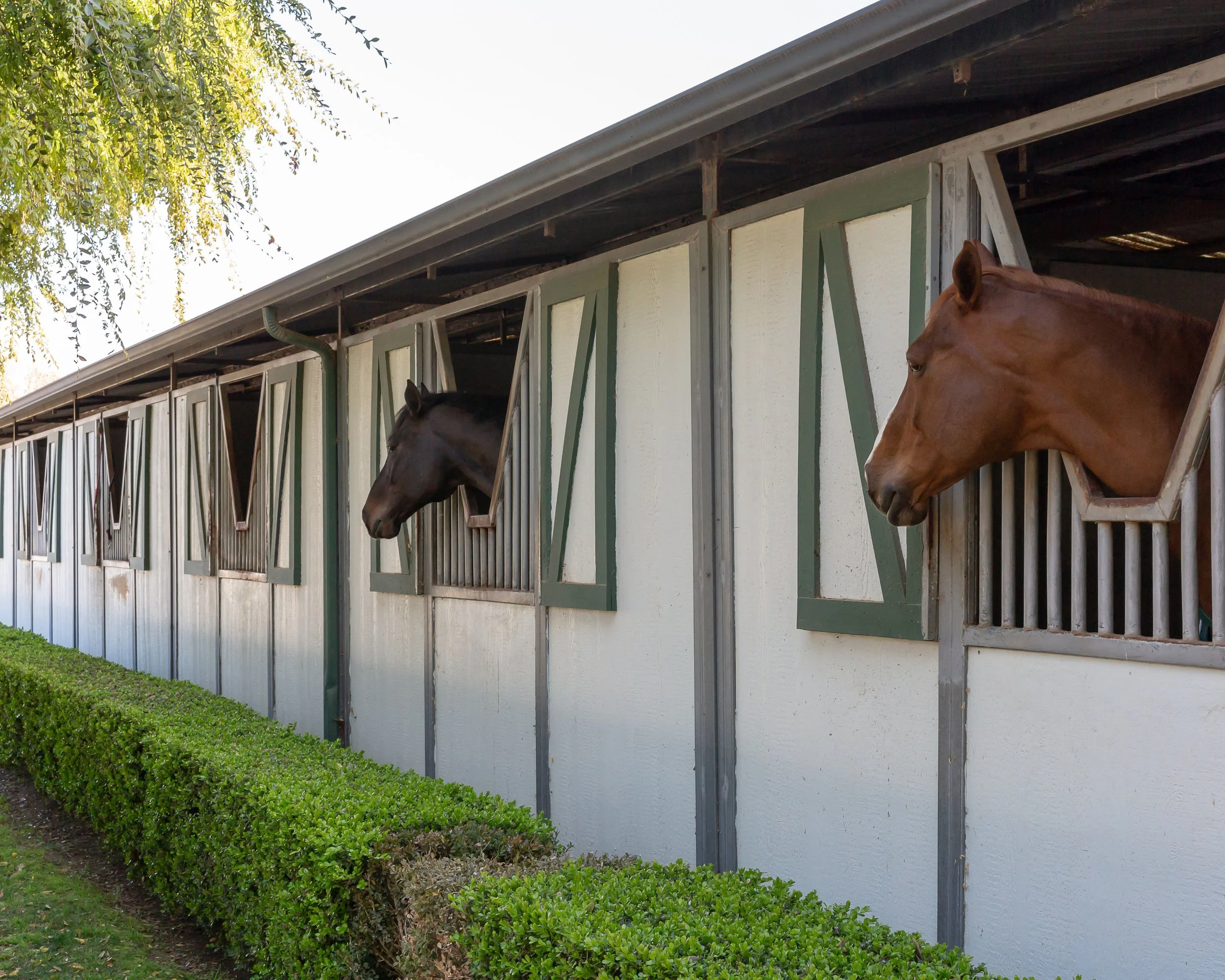 CA - San Diego - Rancho Santa Fe - 116.jpg