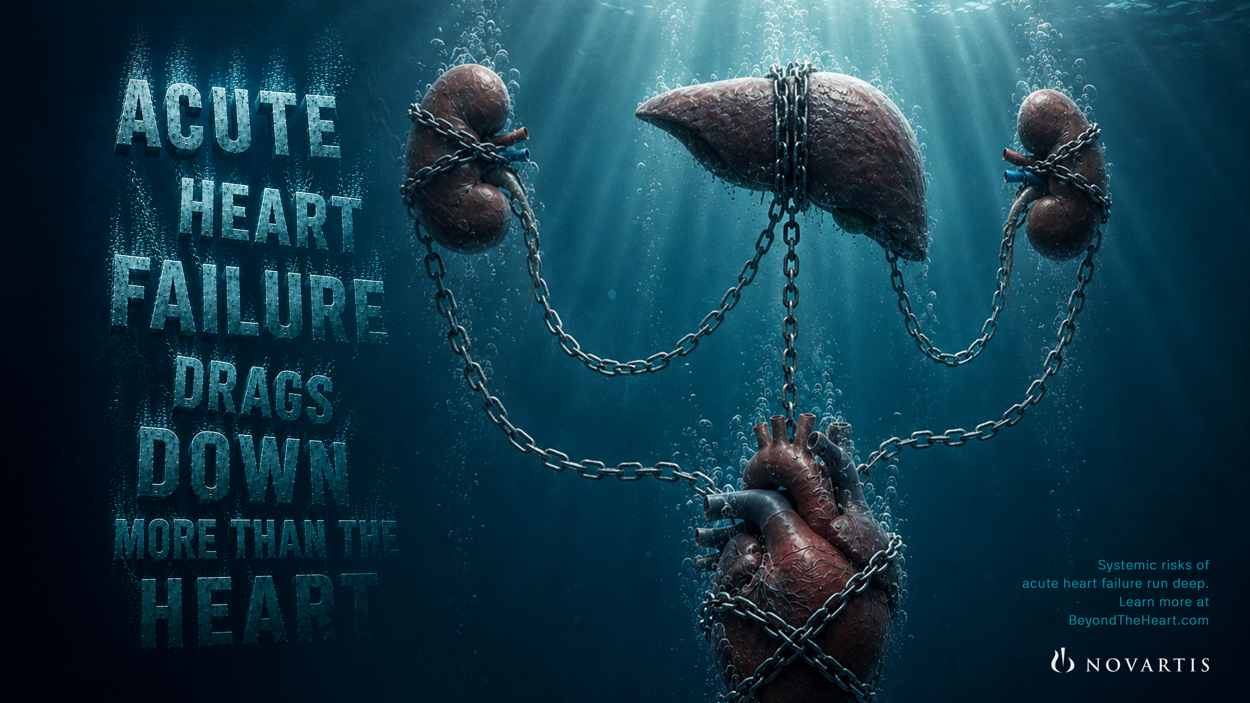Serelaxin_Chained_Organs.png