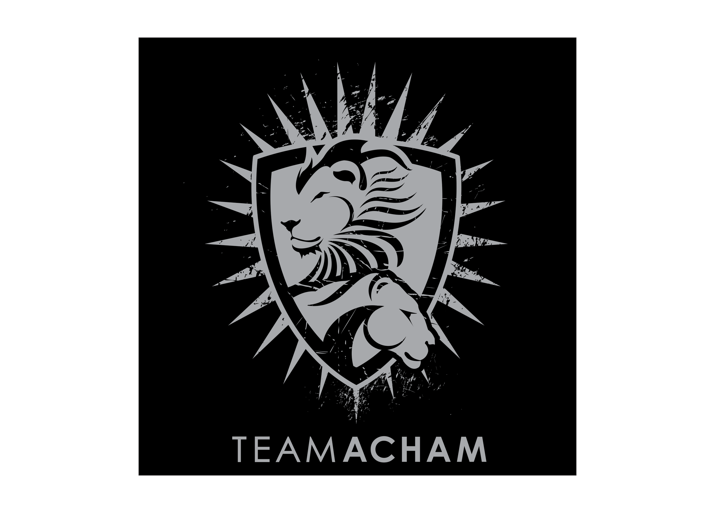 TEAMACHEN1.png