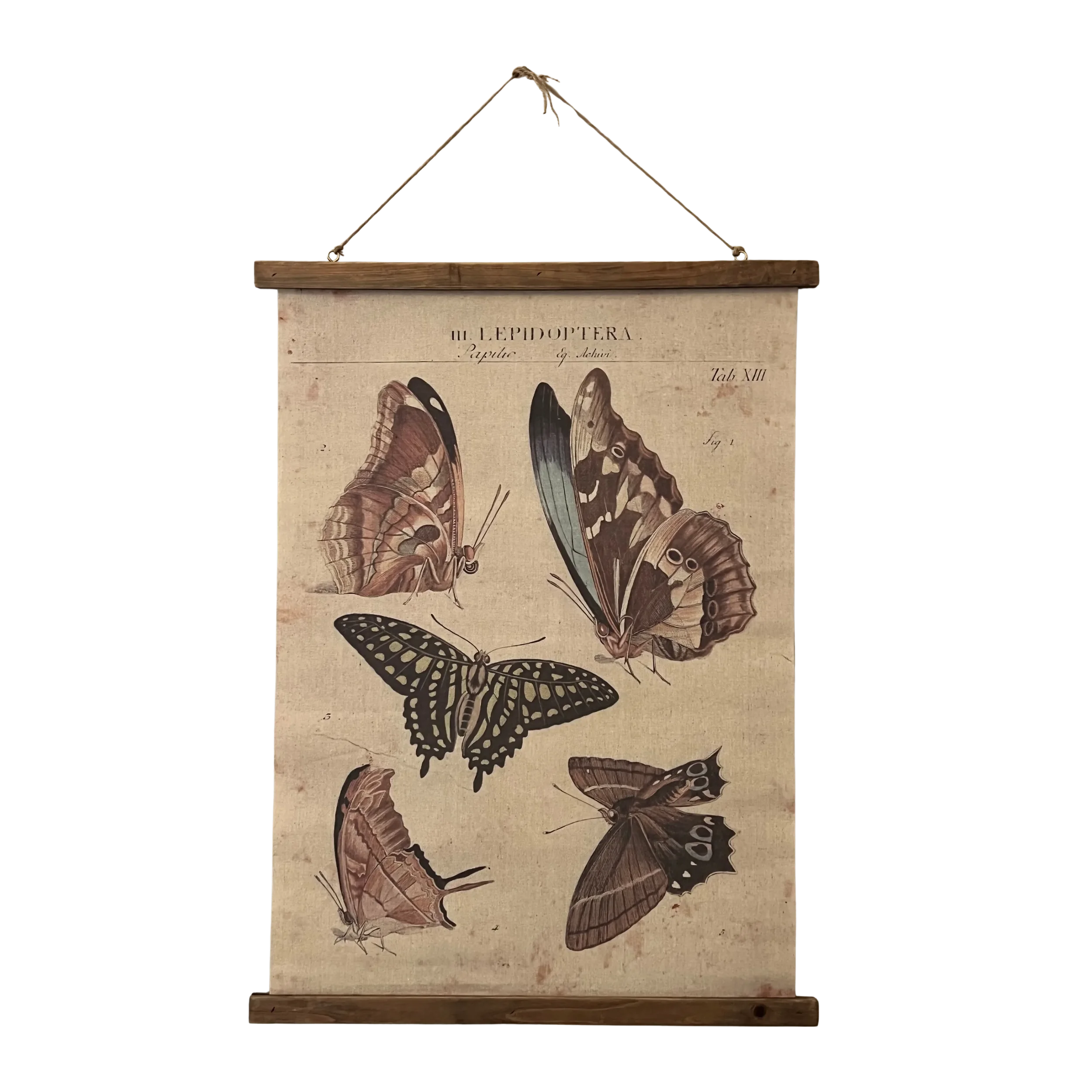 Vintage Butterfly Wall Hanging