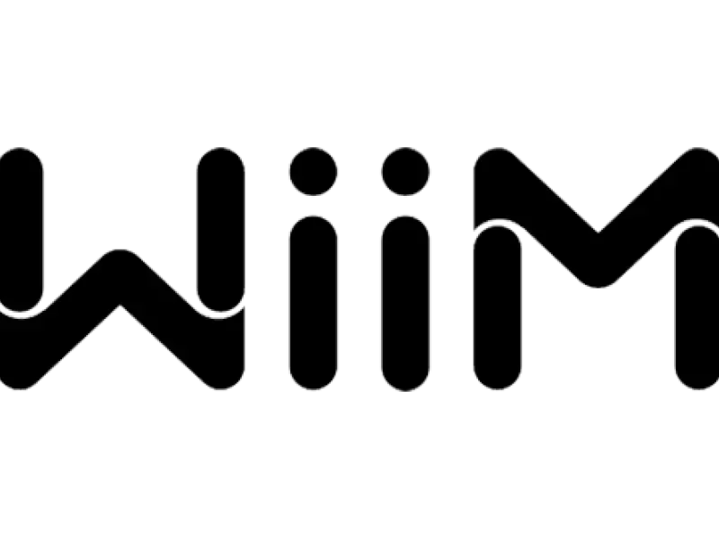 Black and white Winnie the Pooh logo with the text 'Winnie the Pooh' in stylized font.