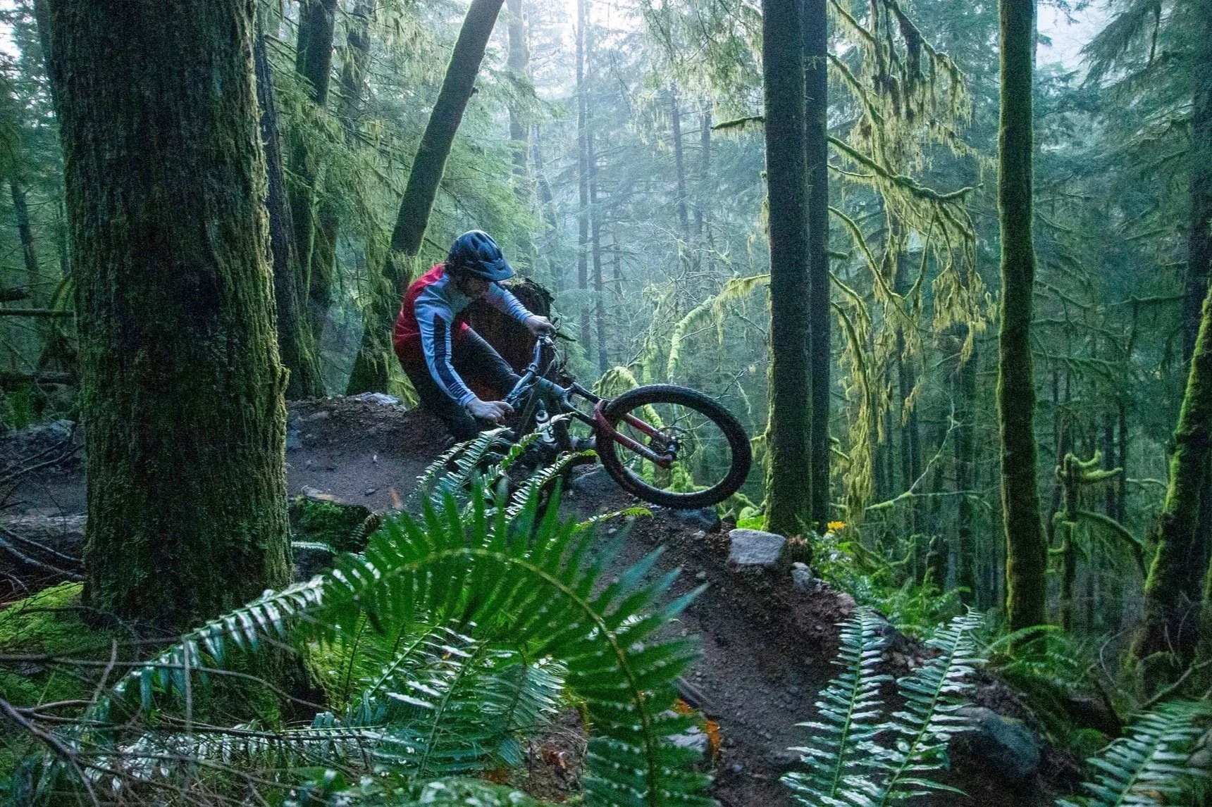 Squamish mountain bike guided ride Alice lake loamers